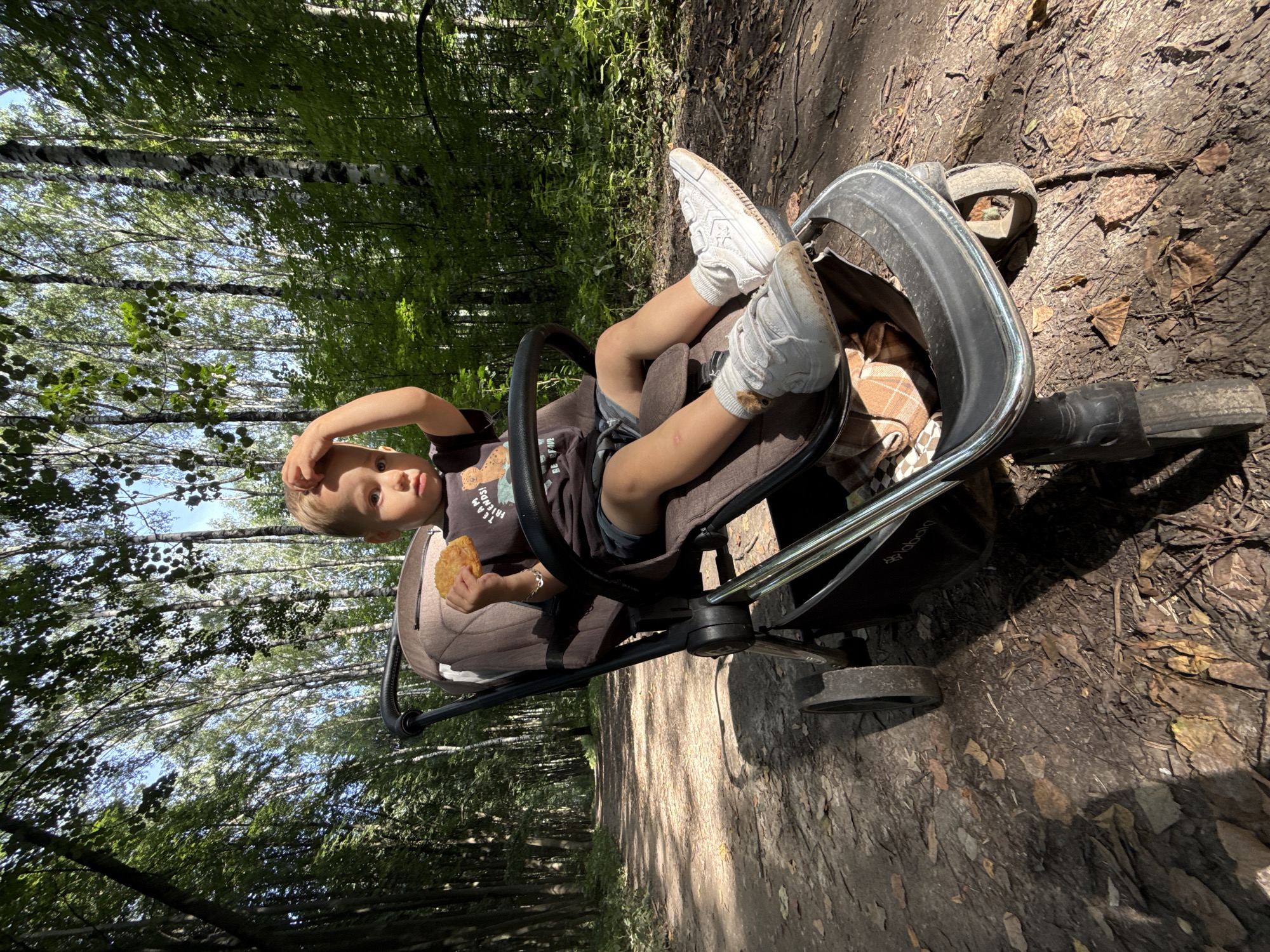Sunny forest walk with a stroller in Rusanovo, Russia.