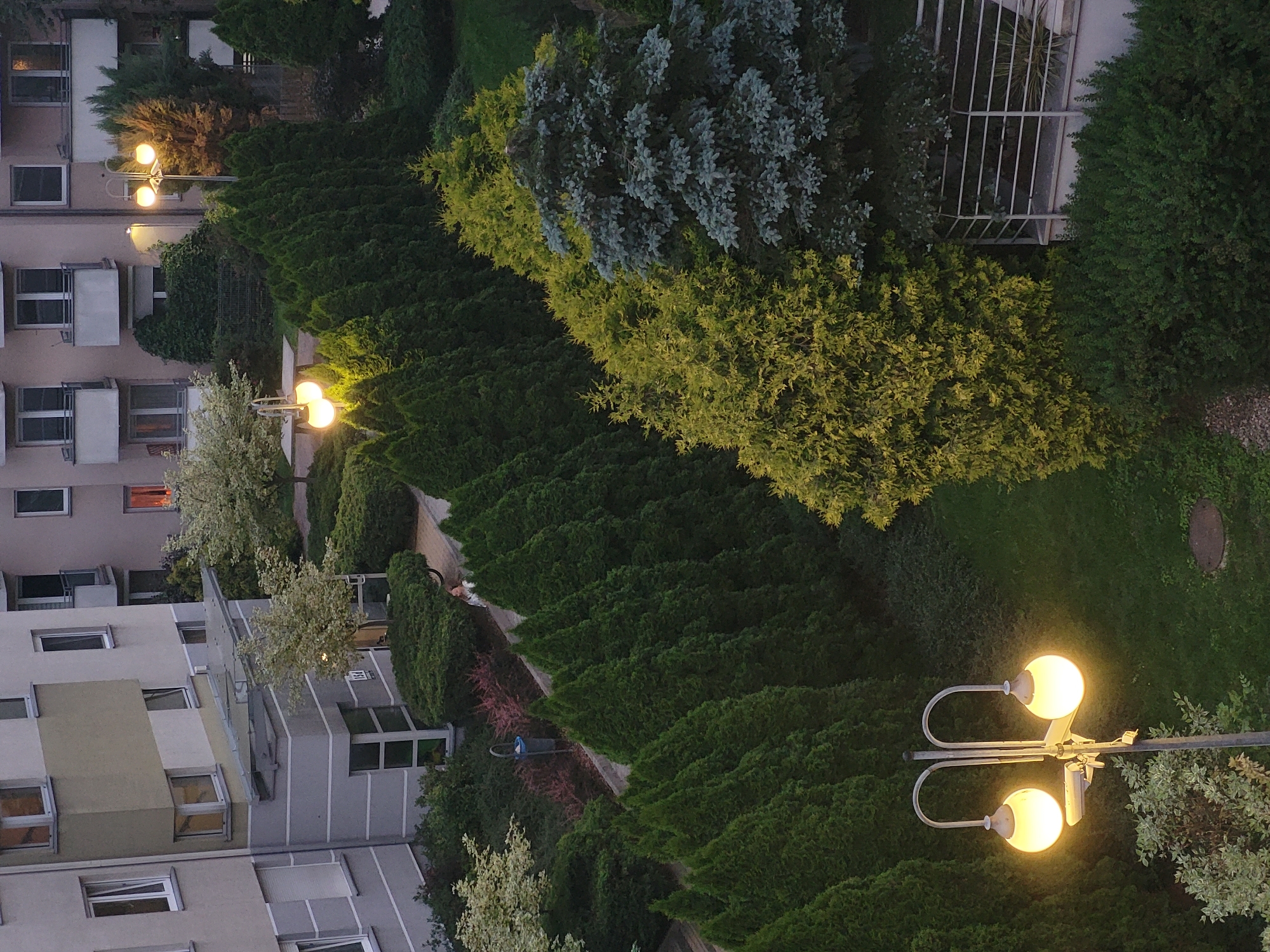 Urban Evening Documented: Cat, Buildings, Street Scenes Over Hour