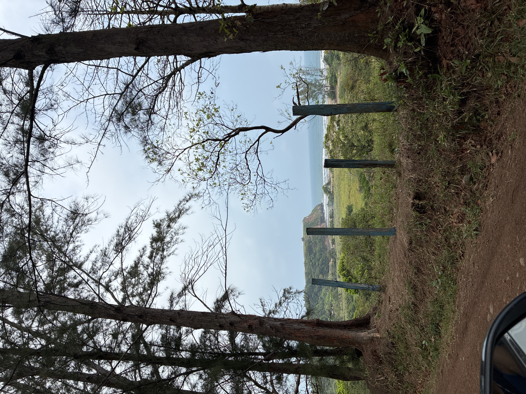 Rural road and landscape documented in Peña Hermosa, Mexico