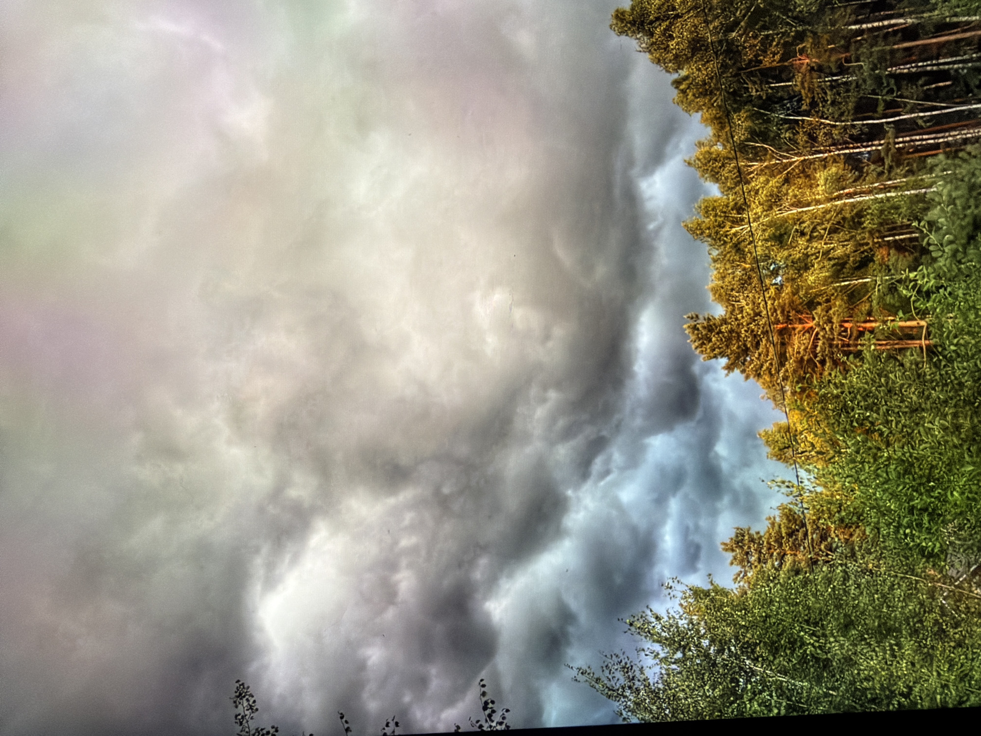 Storm clouds gather over Russian forest at late summer dusk