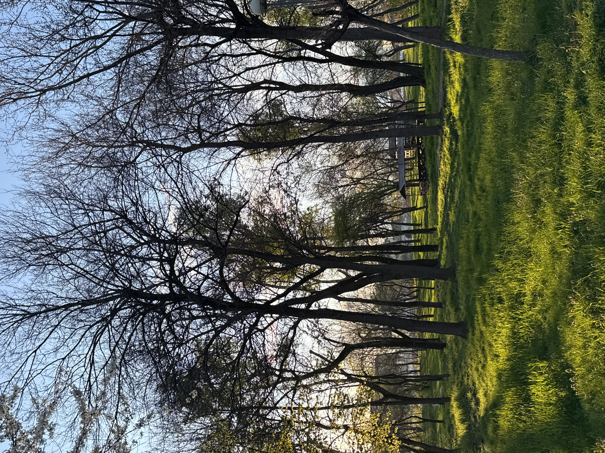 Urban walk captures park, cemetery, church scenes over 27 minutes