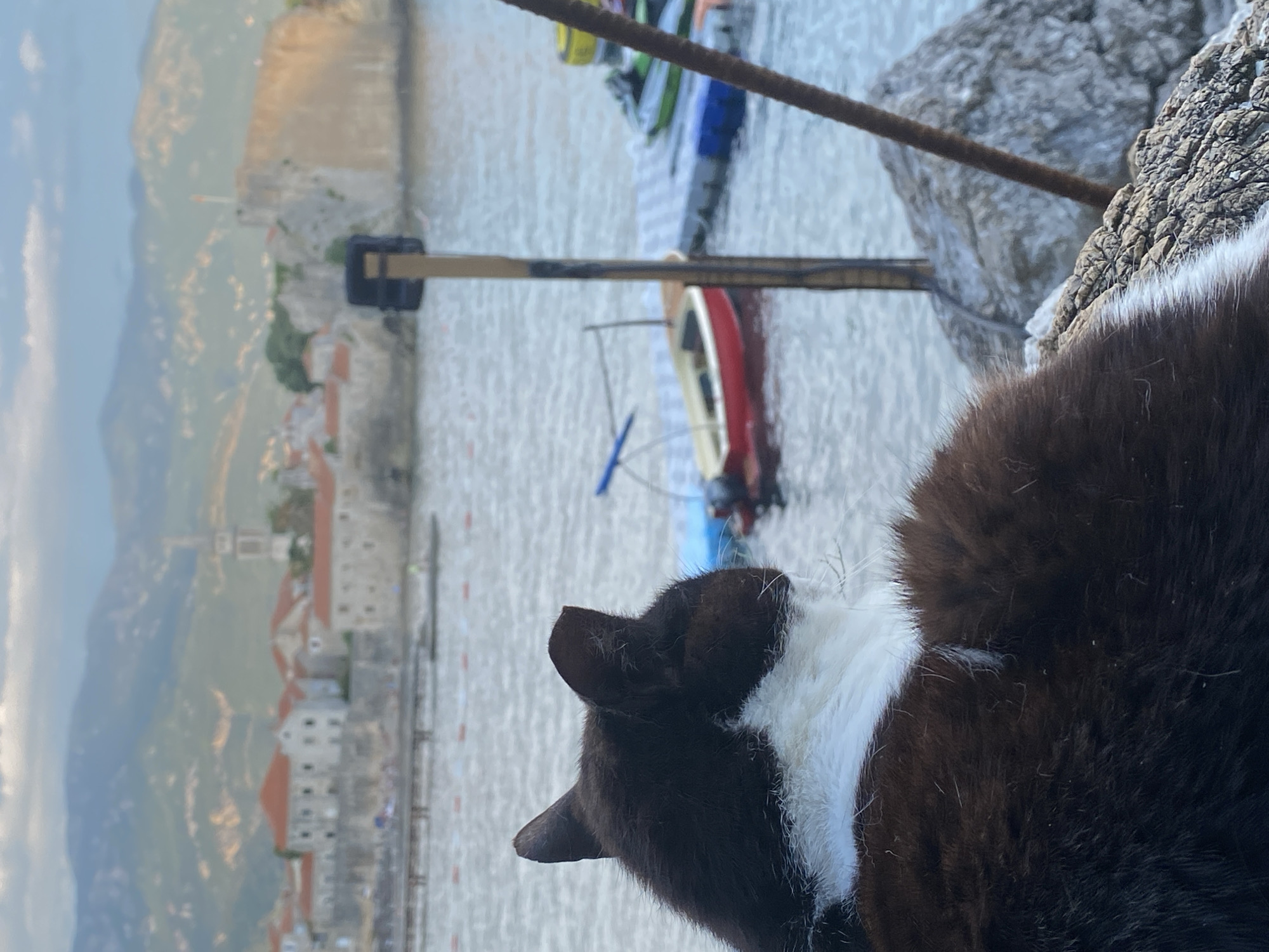 Budva Old Town and waterfront on a busy summer afternoon