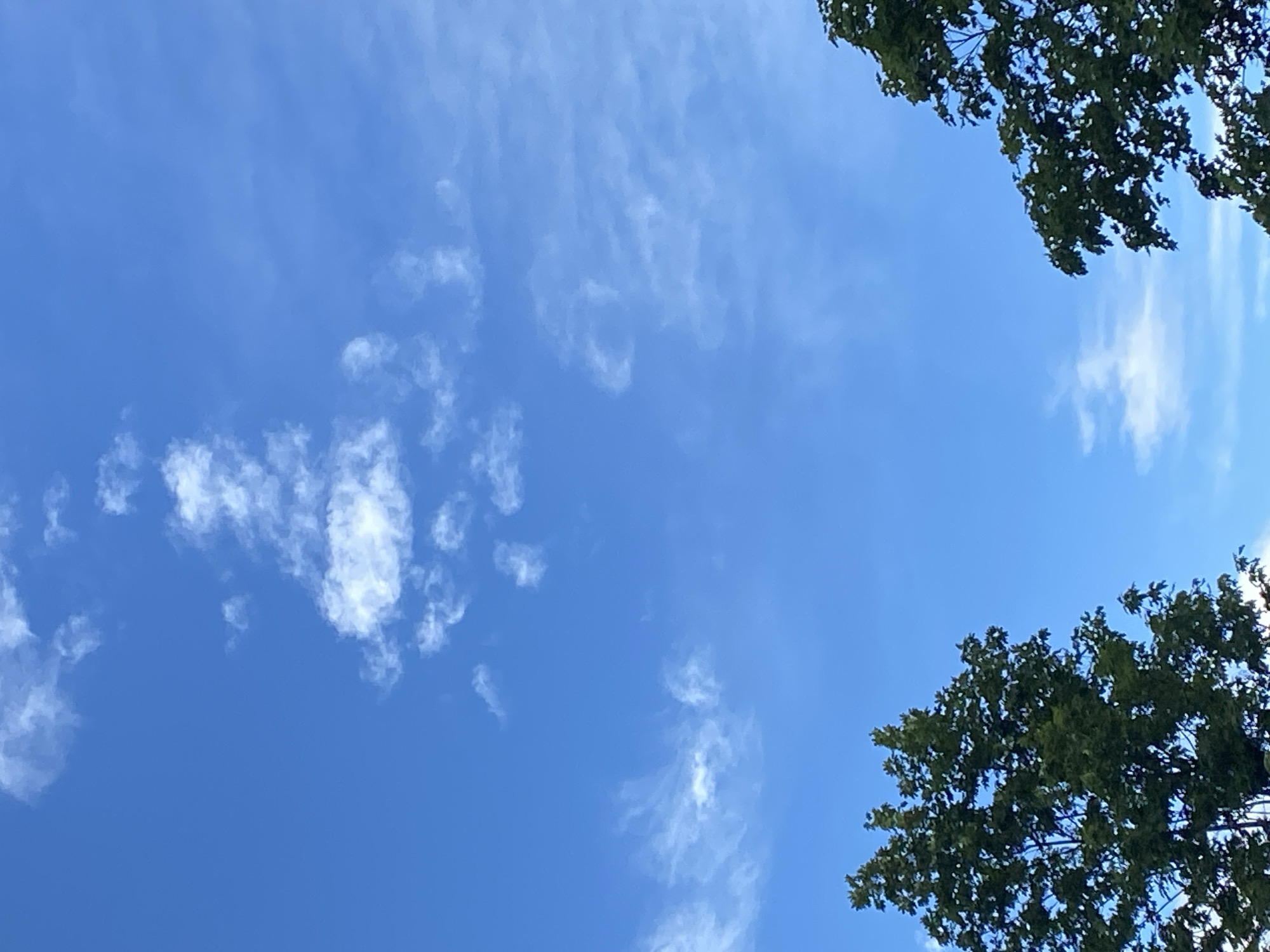 Afternoon mix of blue skies and floral art