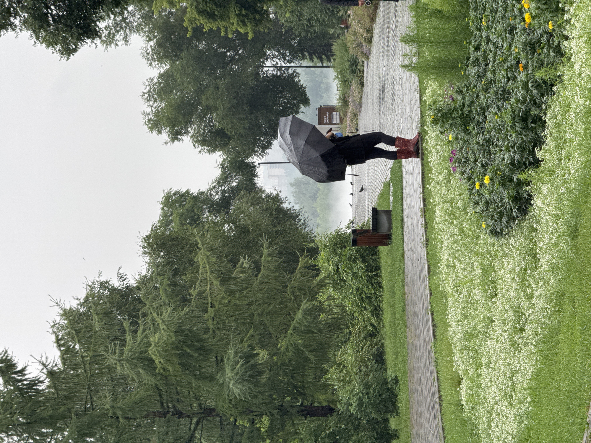 Rainy day stroll in Krasnoyarsk with coffee in hand