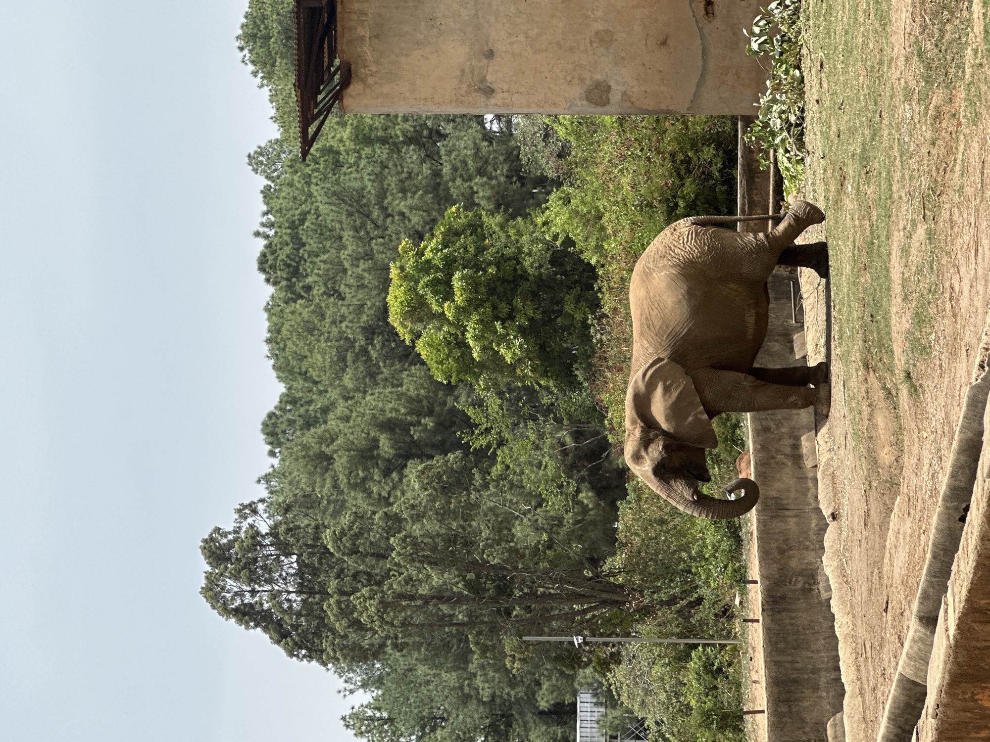 Visitors document animals at Jos wildlife facility during morning visit