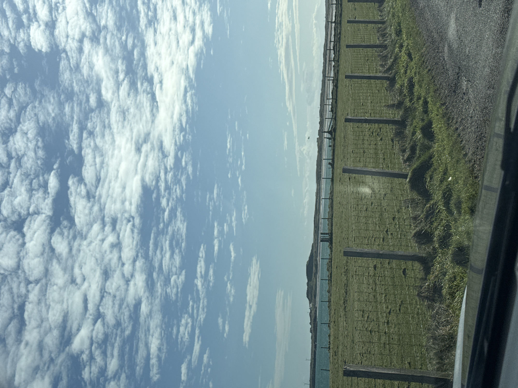 Dog in car and changing cloud patterns observed