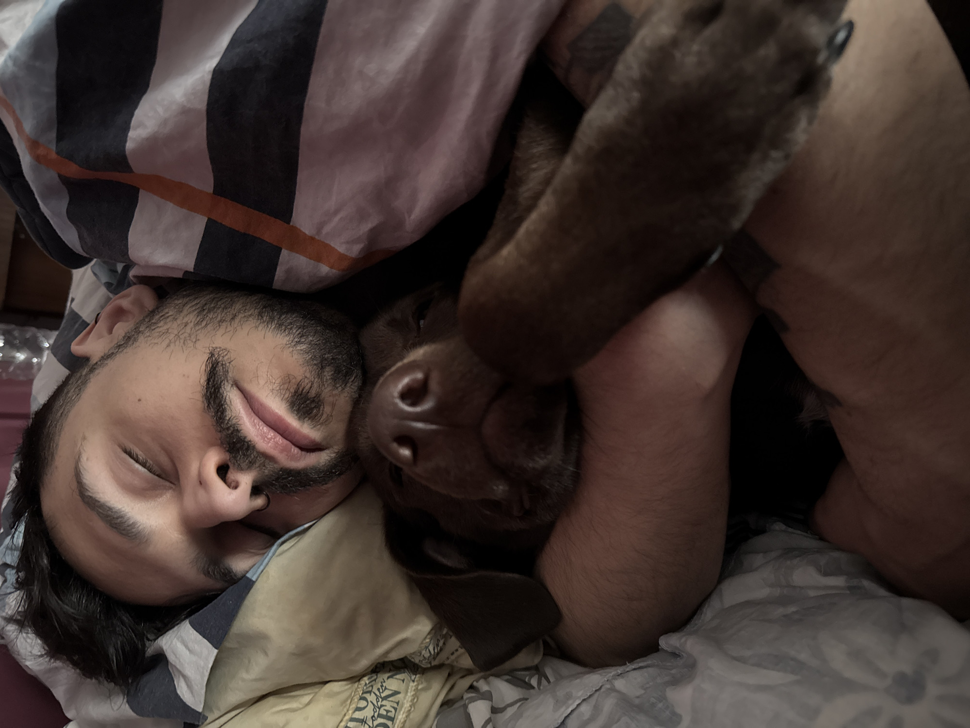 Morning snapshots captured across Sofia include sleeping, cosmetics, street statue