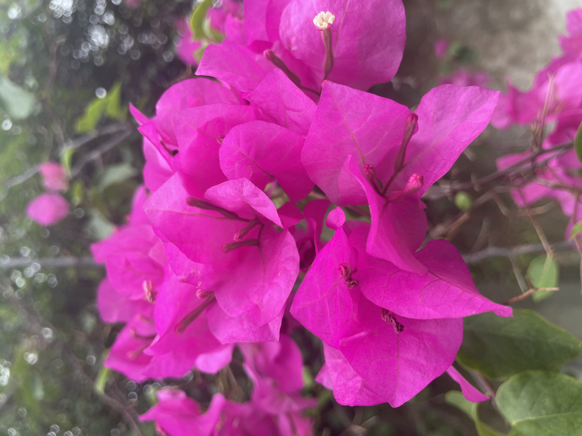 Street scenes and cafe moments across Jos on a cloudy afternoon