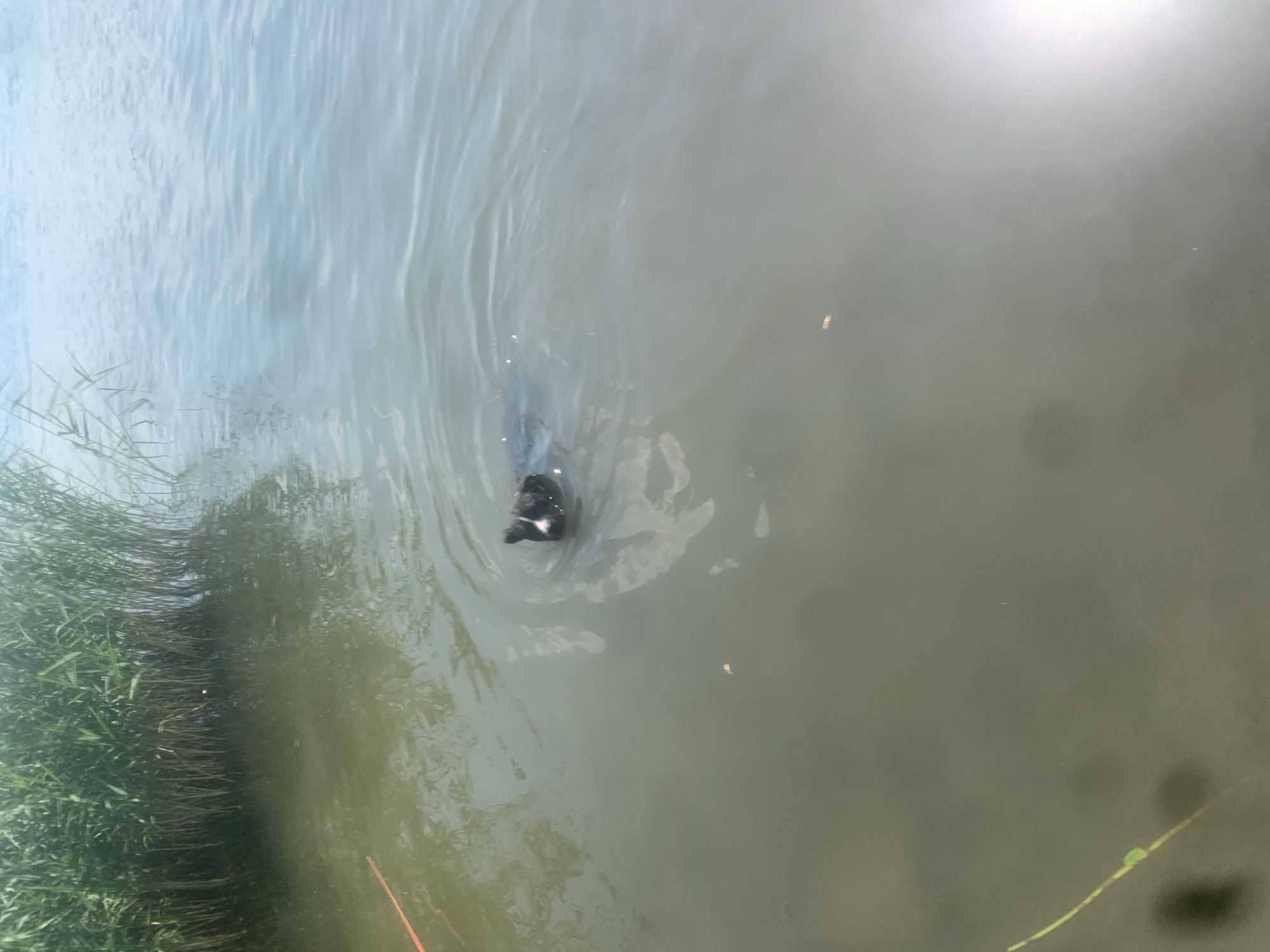 A busy summer afternoon at the Kosy riverbank