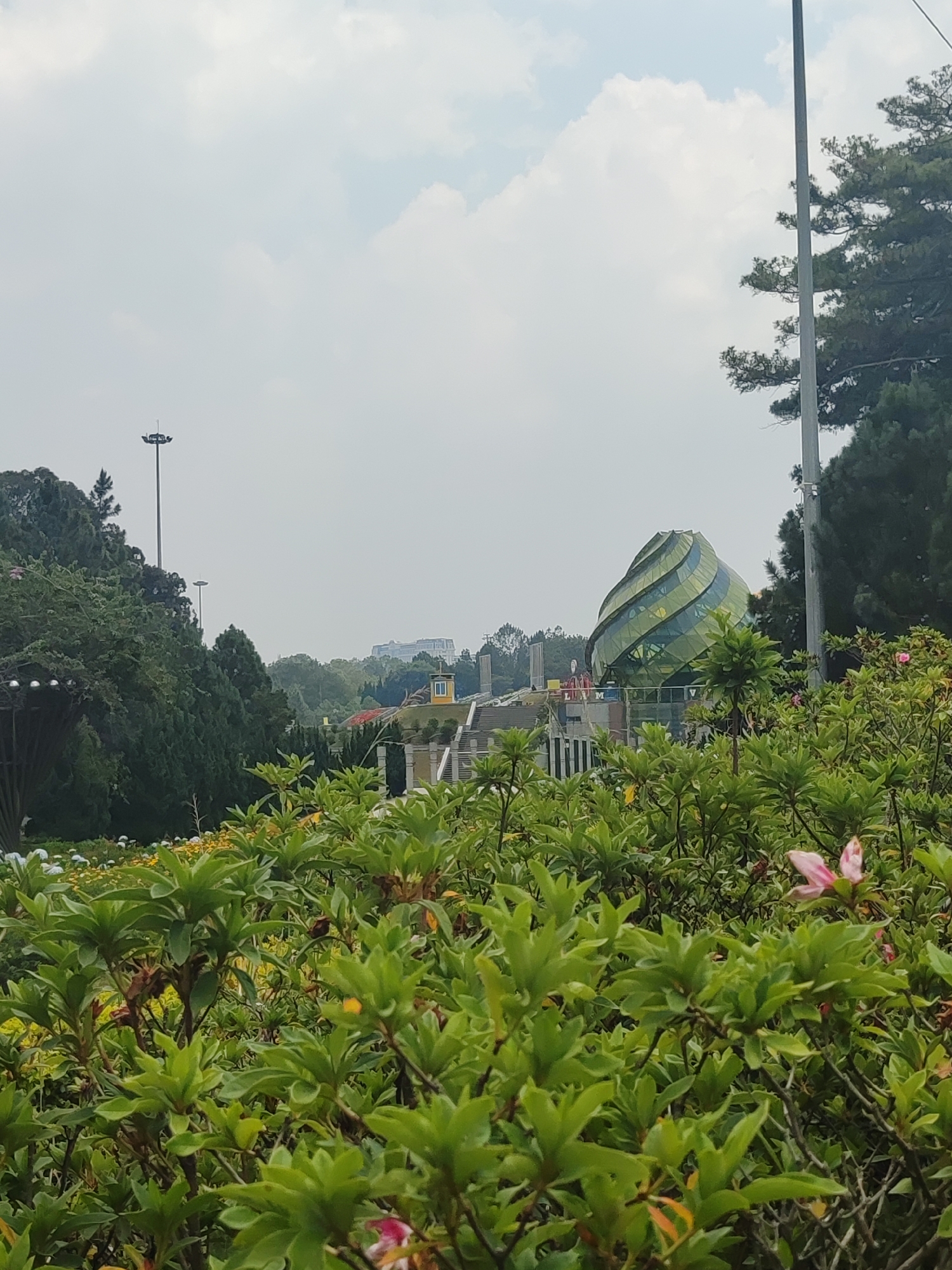 Morning documentation of Da Lat's Artichoke building and flowering gardens