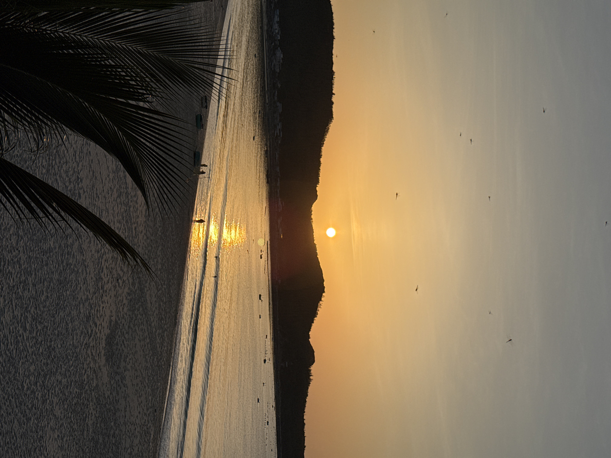 Golden hour on the quiet beaches of Song Cau, Vietnam