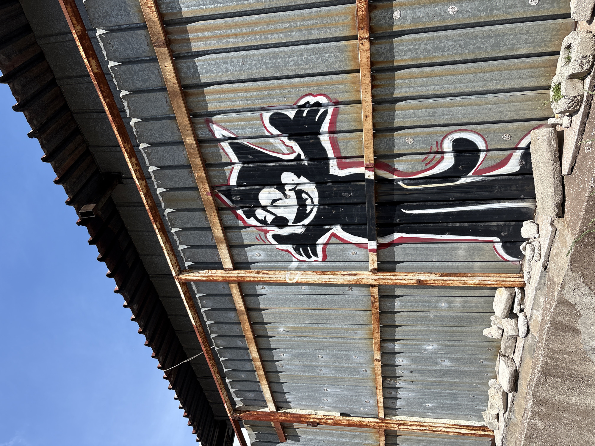 Urban scenes documented in Sofia featuring graffiti and street fashion