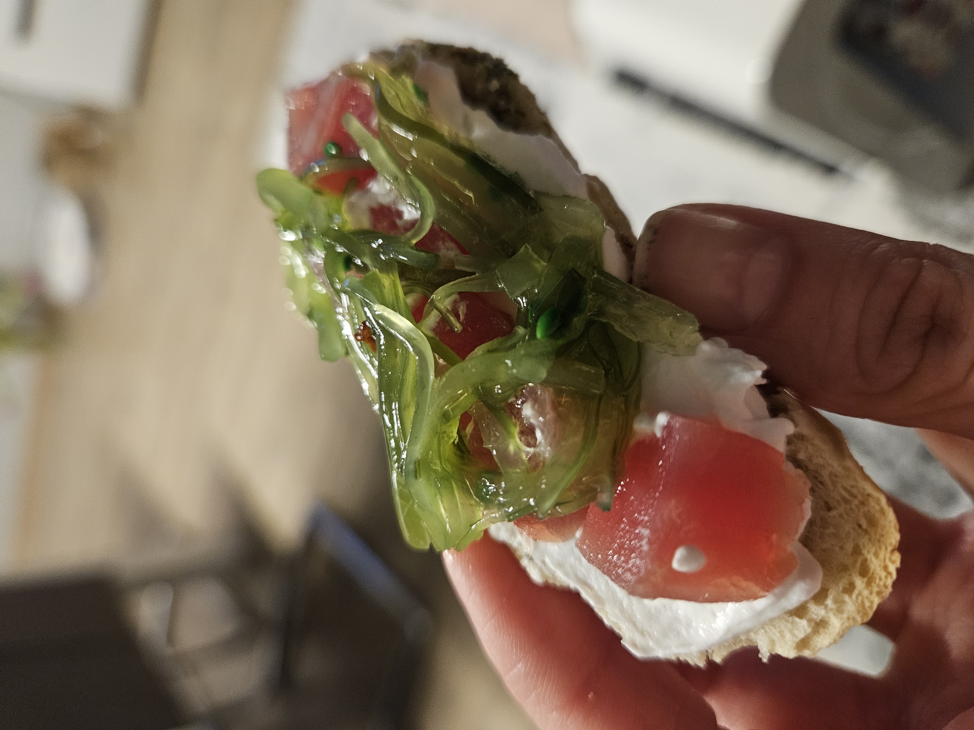 Sofia resident documents canapé and car views during evening stop