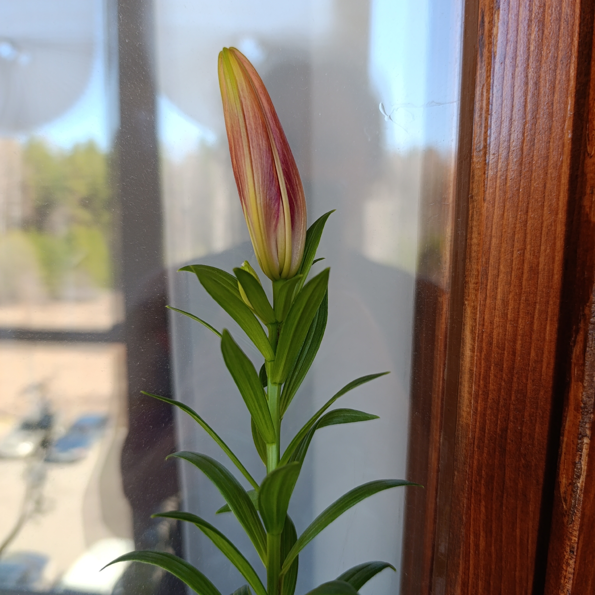Private photography session documented in Markovskii home