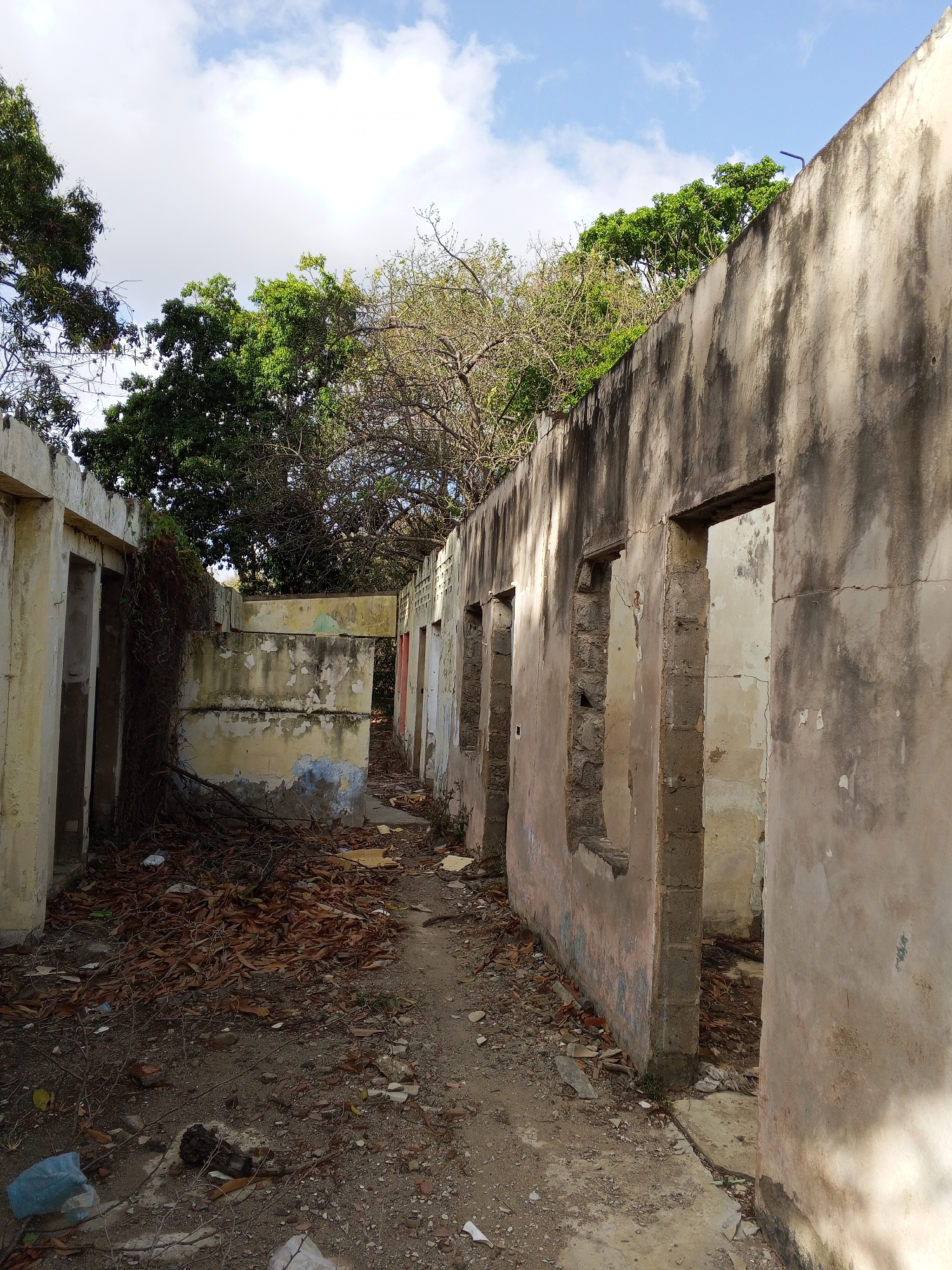 Decaying structure documented at unknown outdoor location