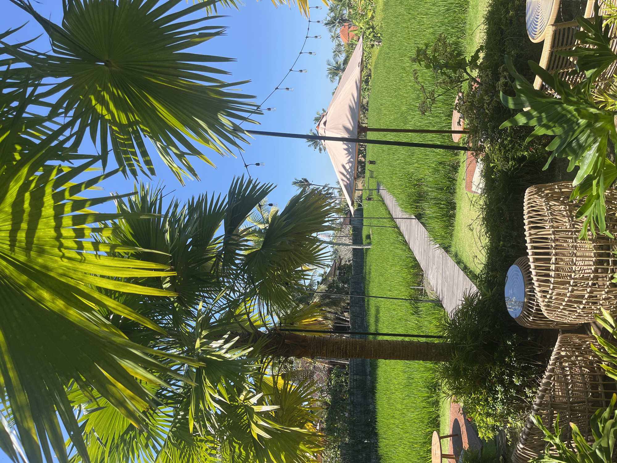 Morning in Sukawati: rice paddies, temple gates, and café vibes