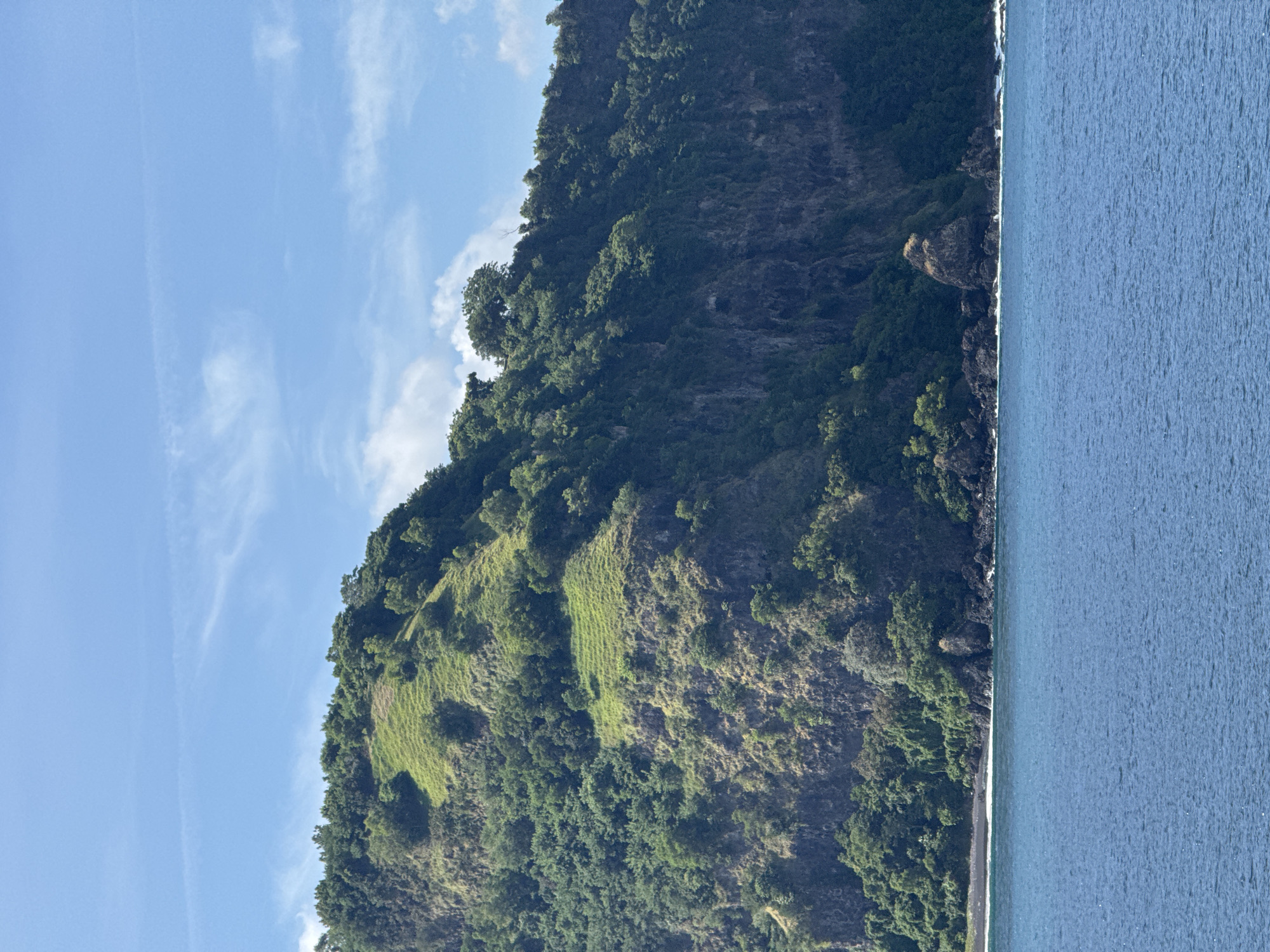 Indonesian coastal landscape with terraced vegetation documented by witness