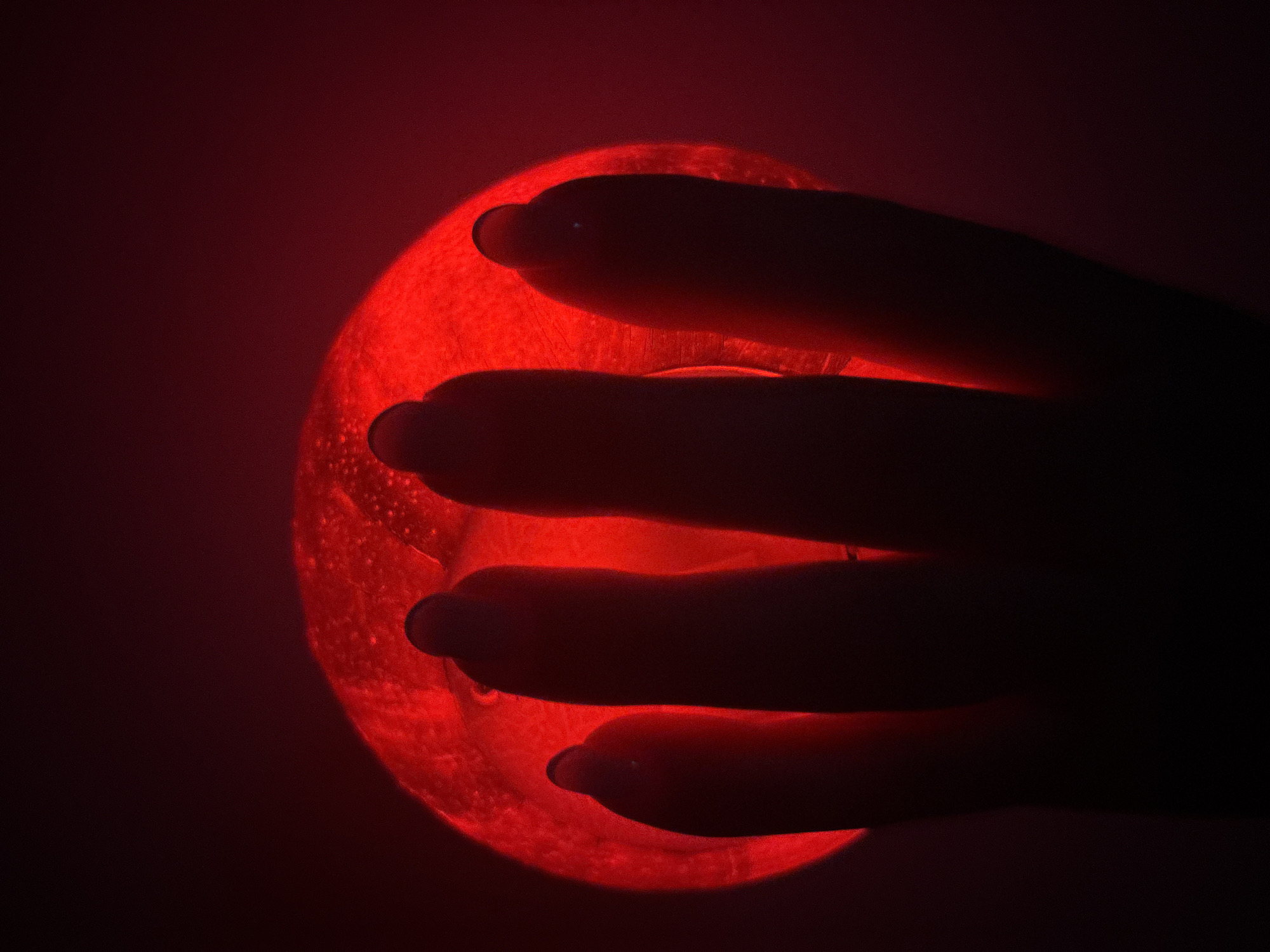 Galaxy lamp and puzzle panda toys photographed up close in Tallinn