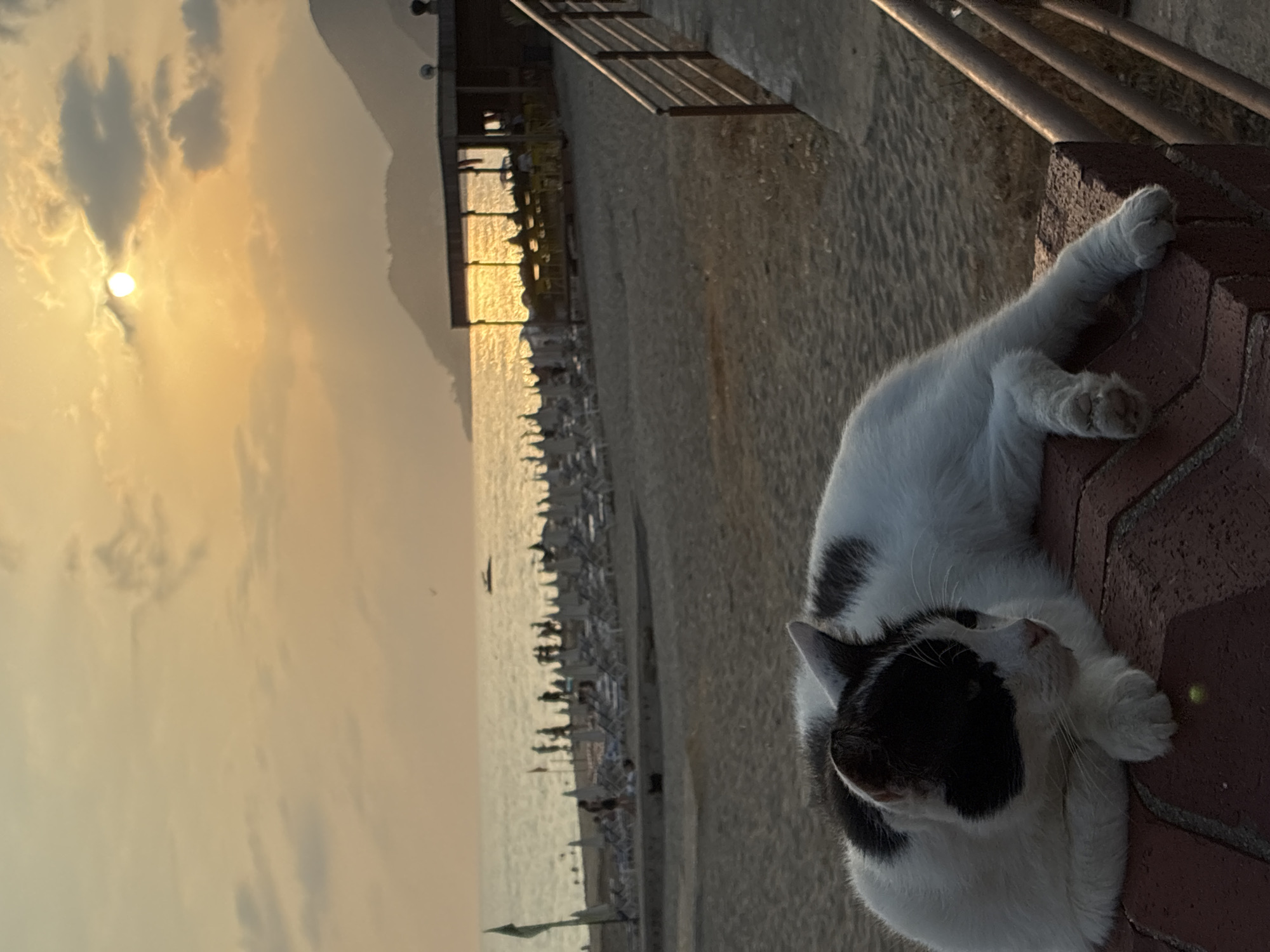 Sunset hour at Cleopatra Beach, Alanya — streets, sea, and cats