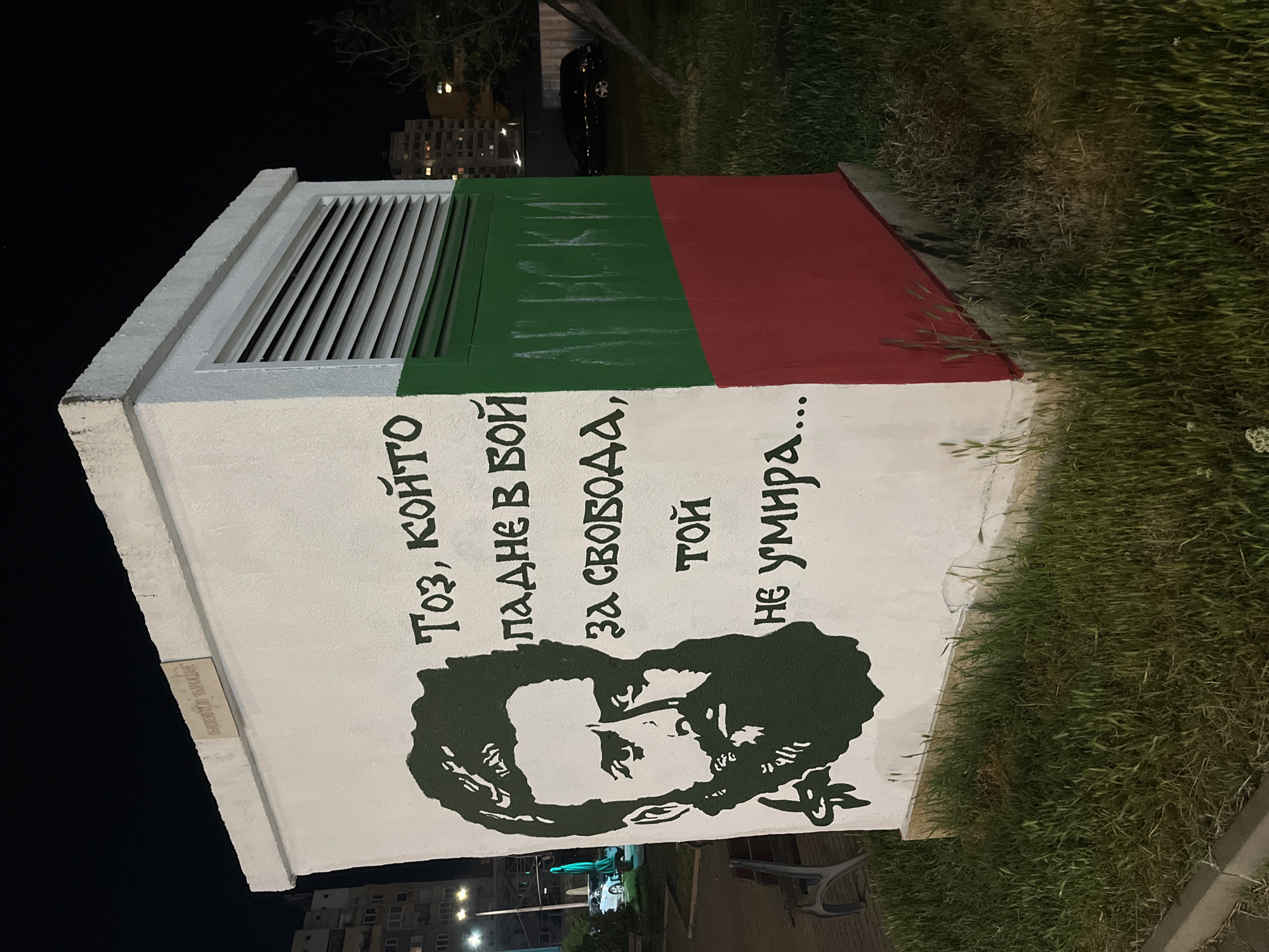 Street art portrait added to Bulgarian flag electrical box
