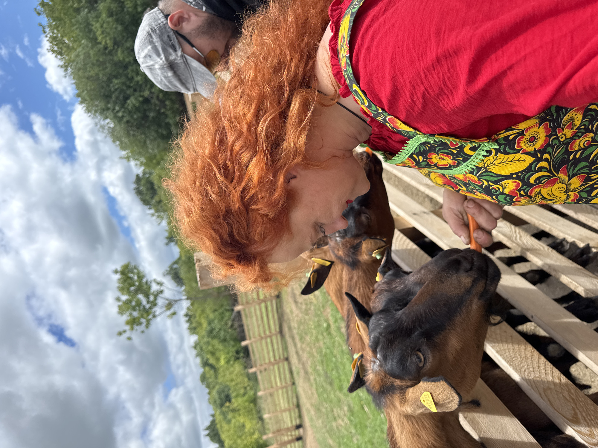 Goats, camels, and selfies at a Russian animal park