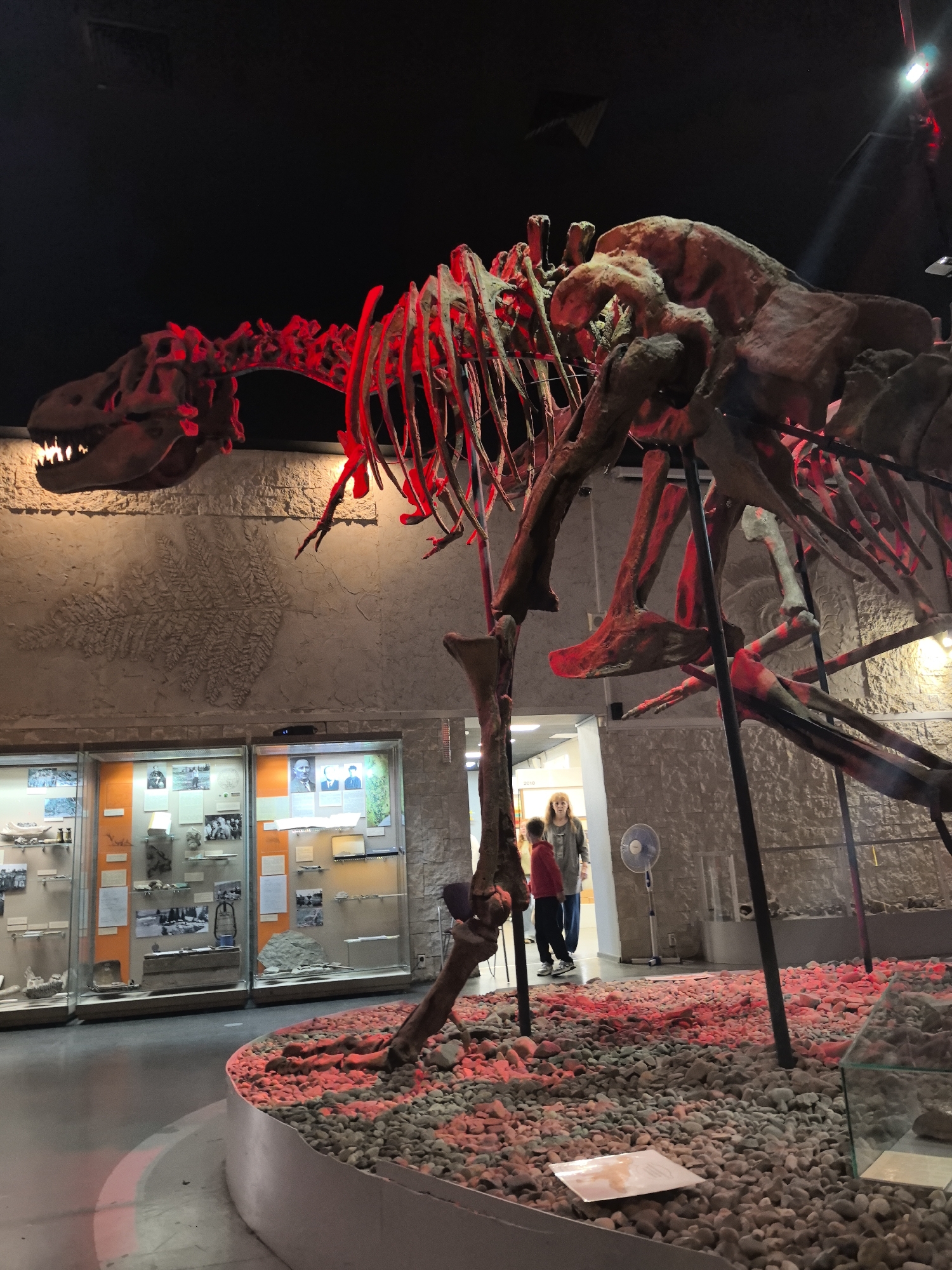 Morning at Perm's natural history museum, fossils to city streets