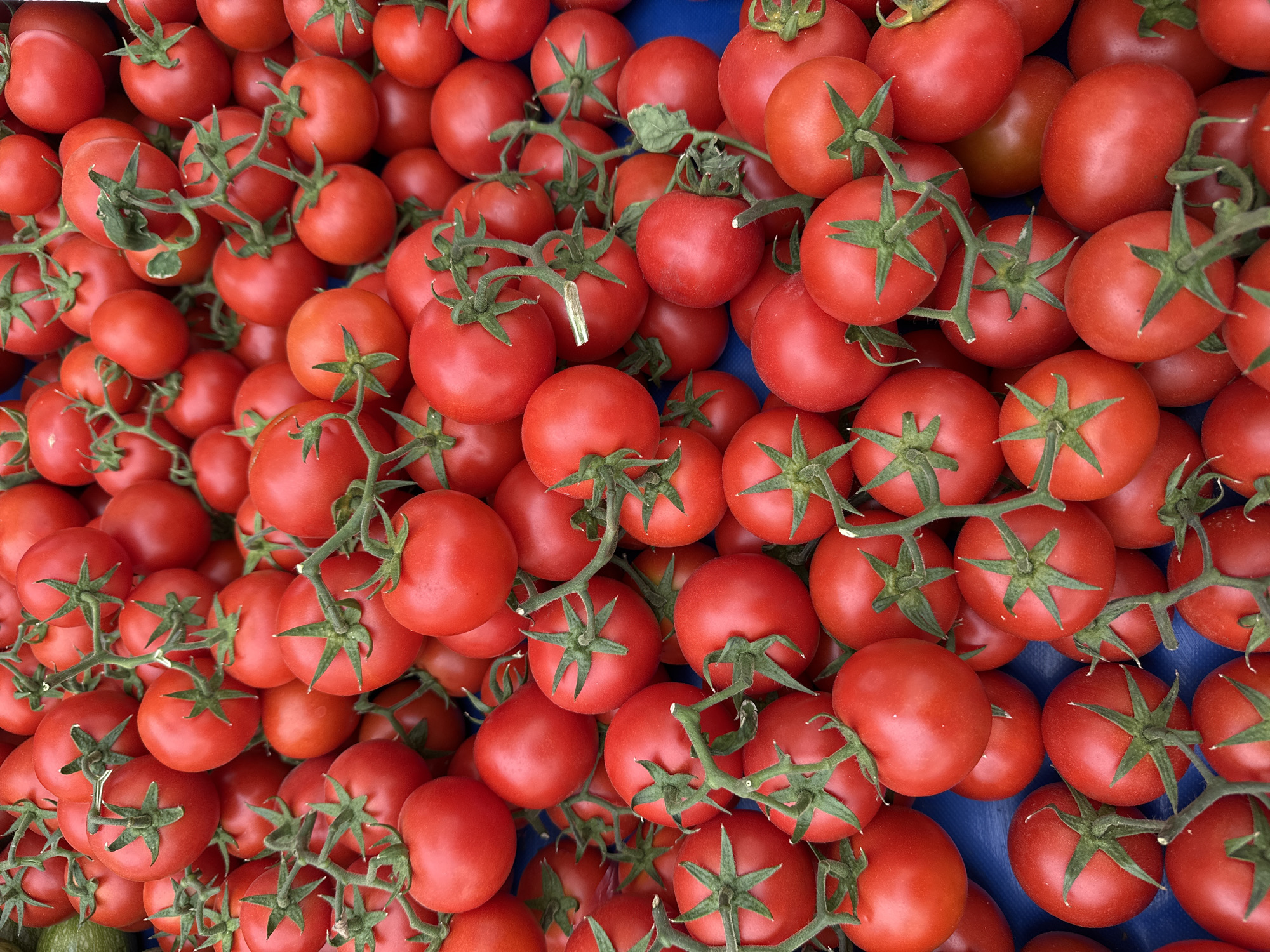 Morning produce shopping at outdoor market in Fethiye, Turkey