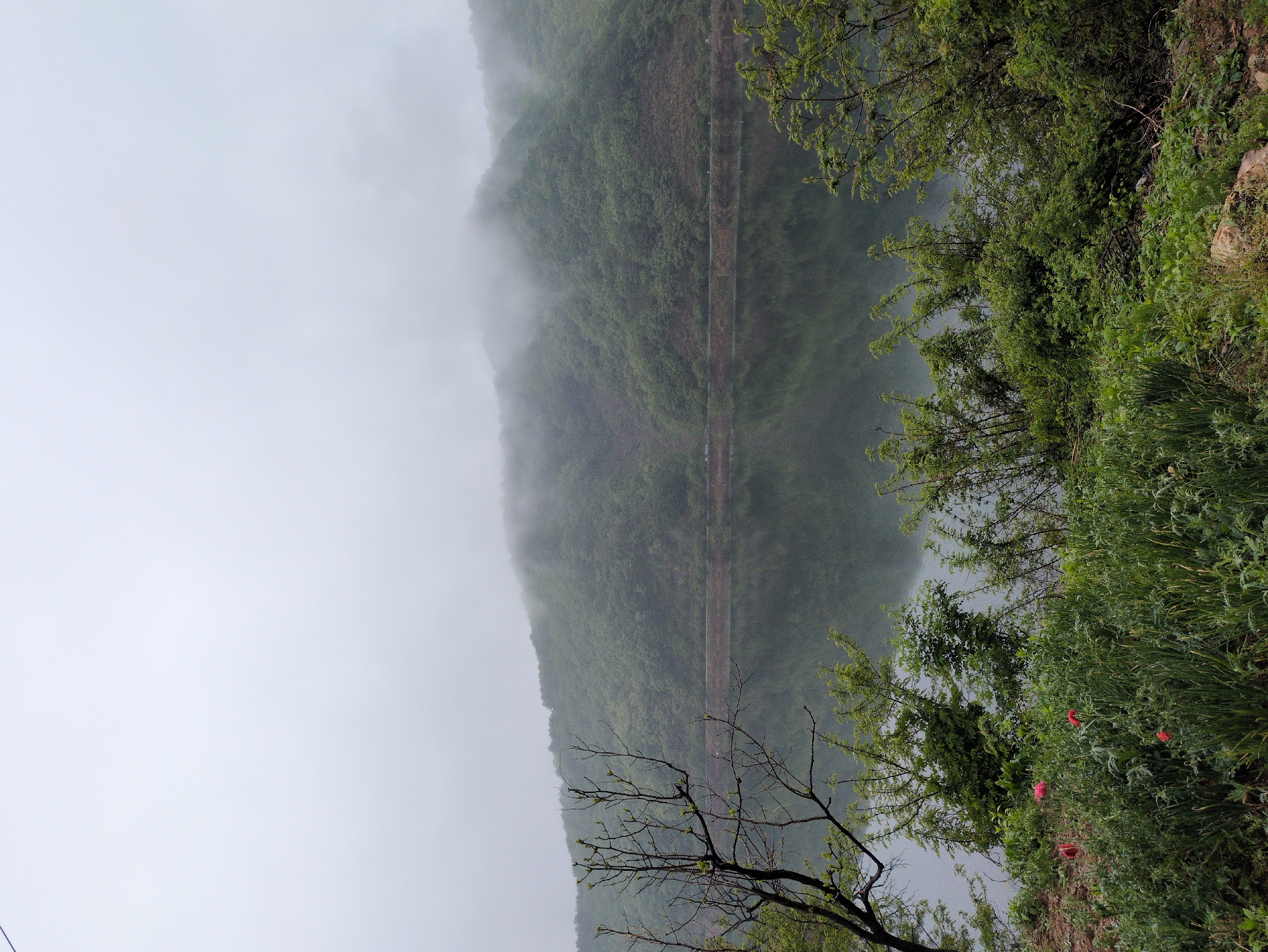 Heavy fog blankets Jangchan-ri landscapes during early morning hours