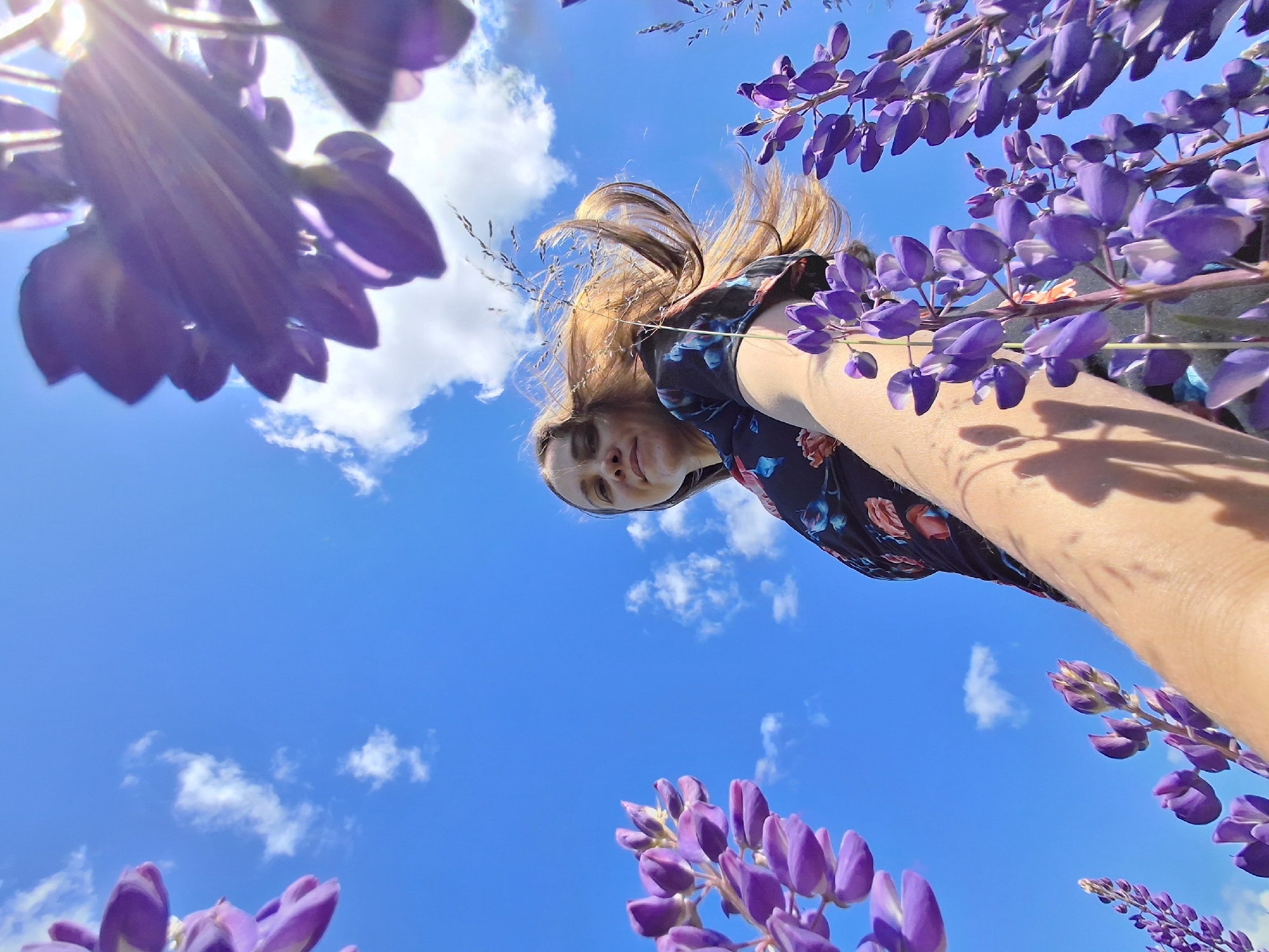Woman photographs herself in lupine field in rural Russia