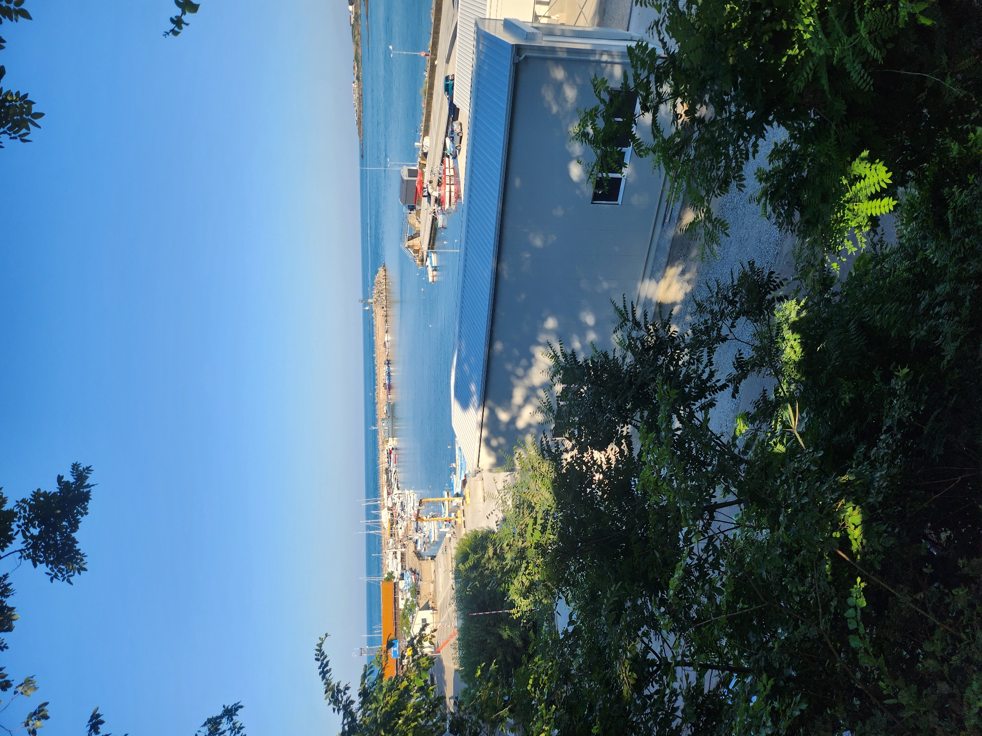 Tsarevo harbor seen through green foliage on a sunny afternoon