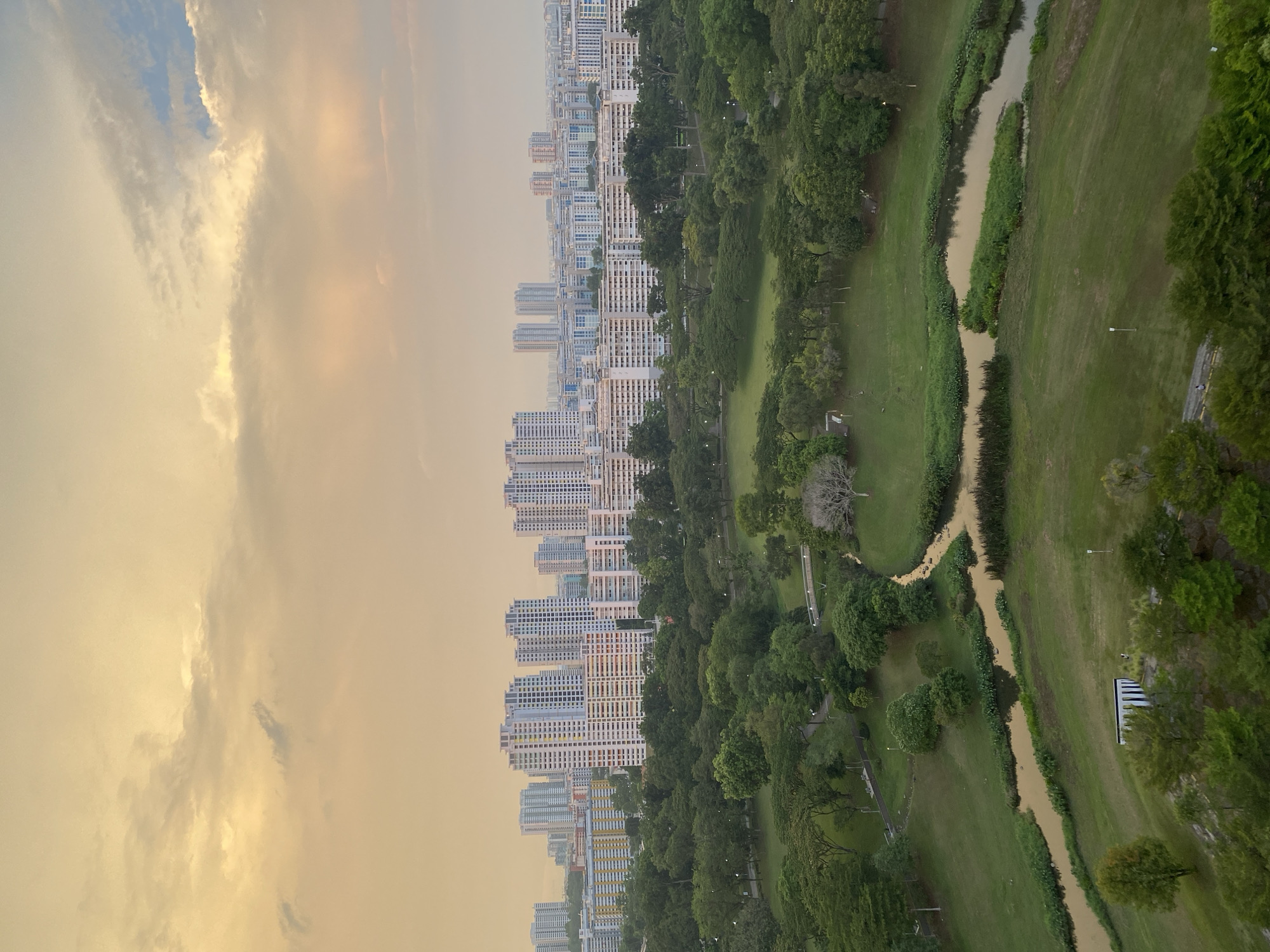 Aerial view captures Singapore's urban-nature contrast under yellow clouds