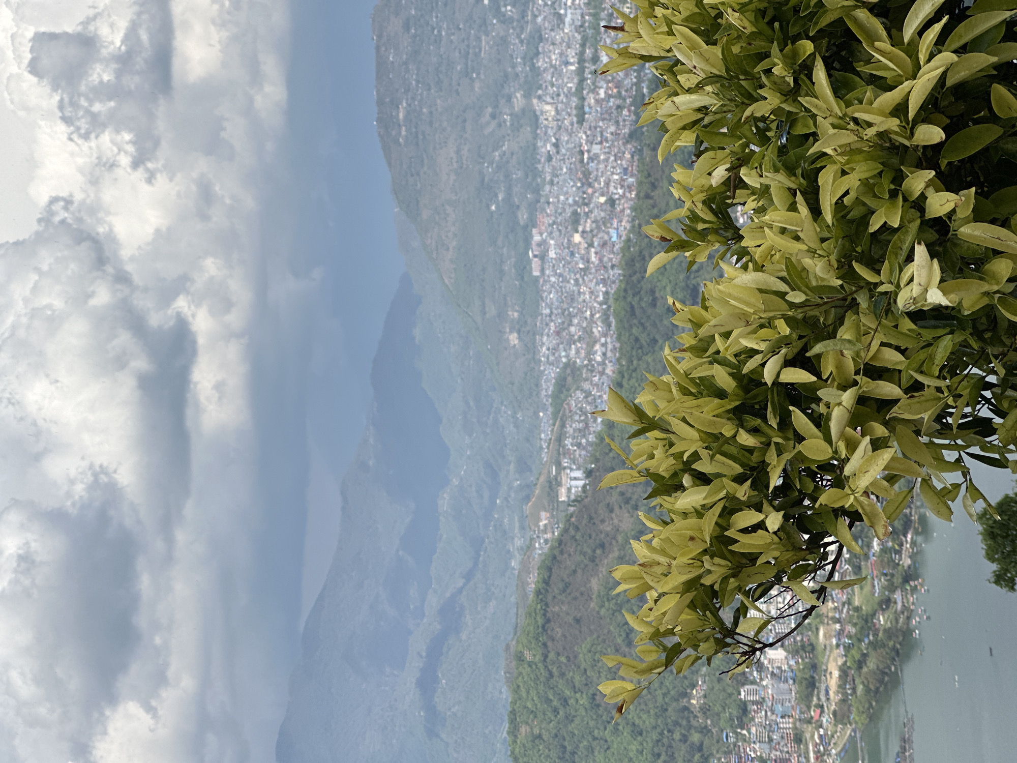 Morning moments captured in Pokhara: cityscape and dewy flower