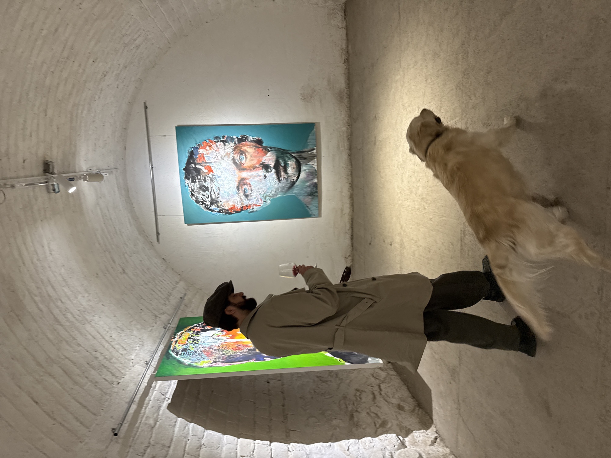 Person with dog spotted in Yerevan room, later in metro