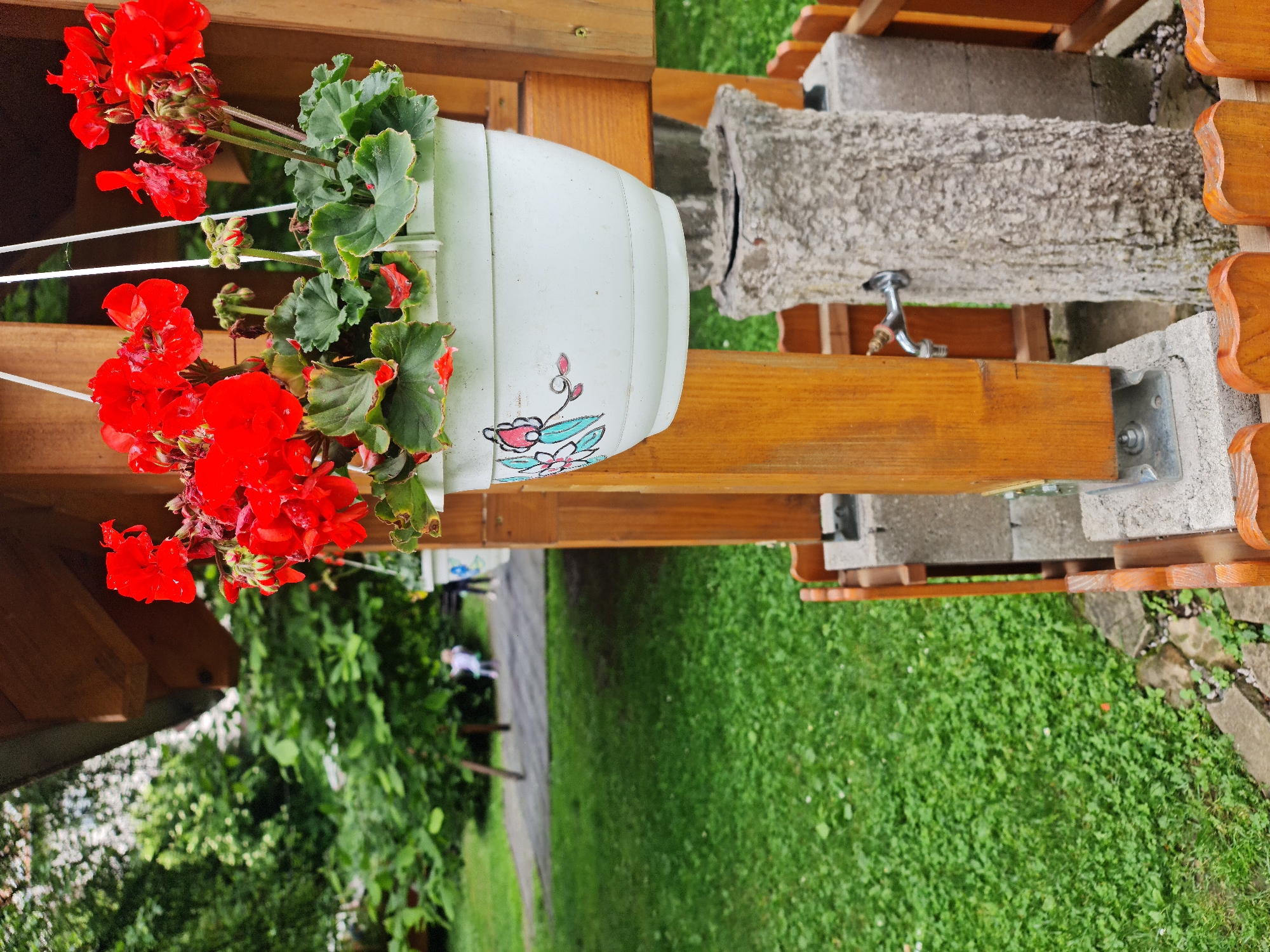Morning park visit documented in Prešov, Slovakia