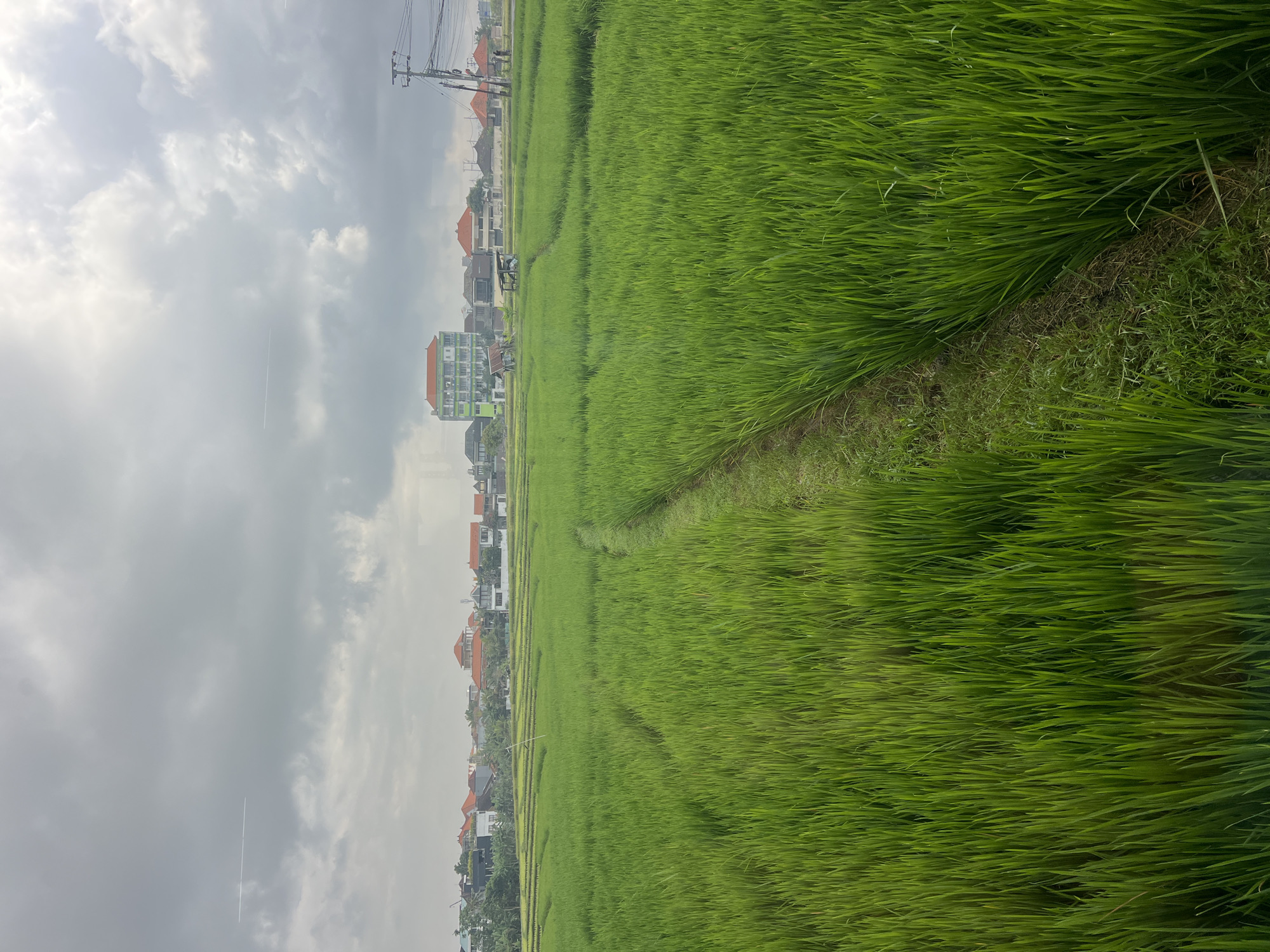 Rice paddies and a local gym, North Kuta, Bali
