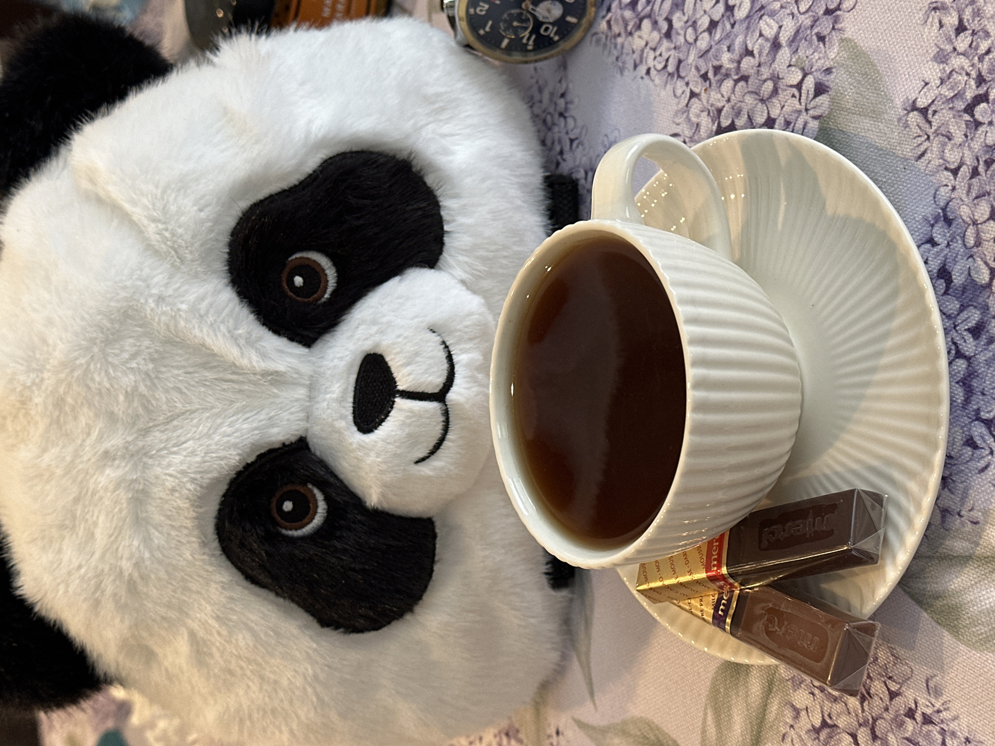 Cozy morning moment captured with panda, beverage in Wisła