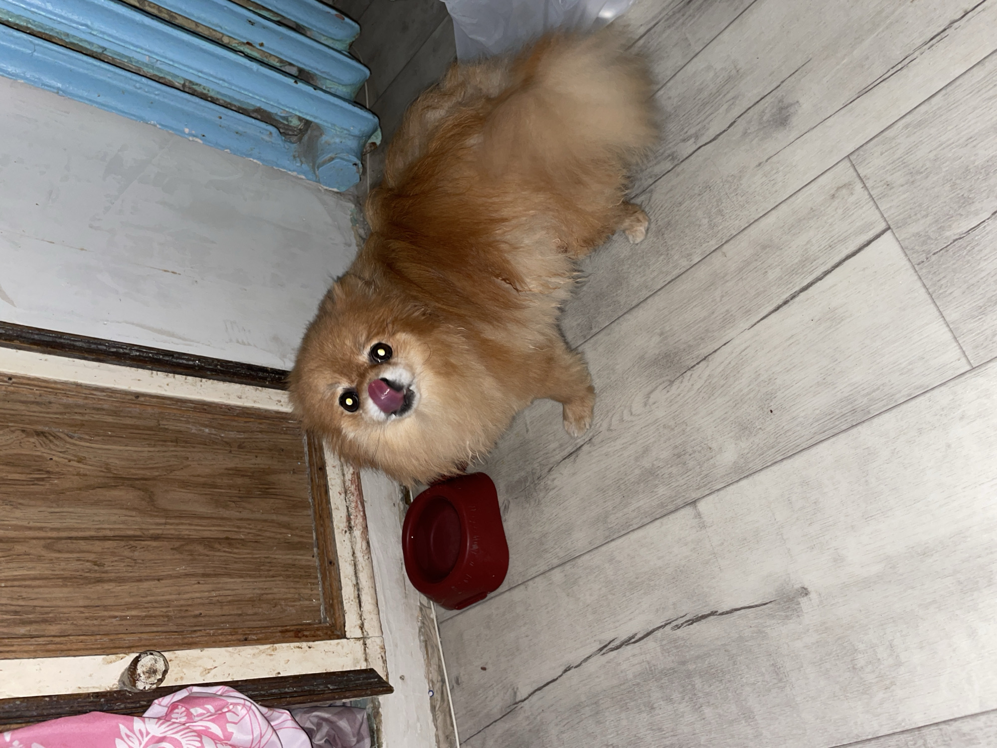 Personal moments documented in Perm home over six minutes