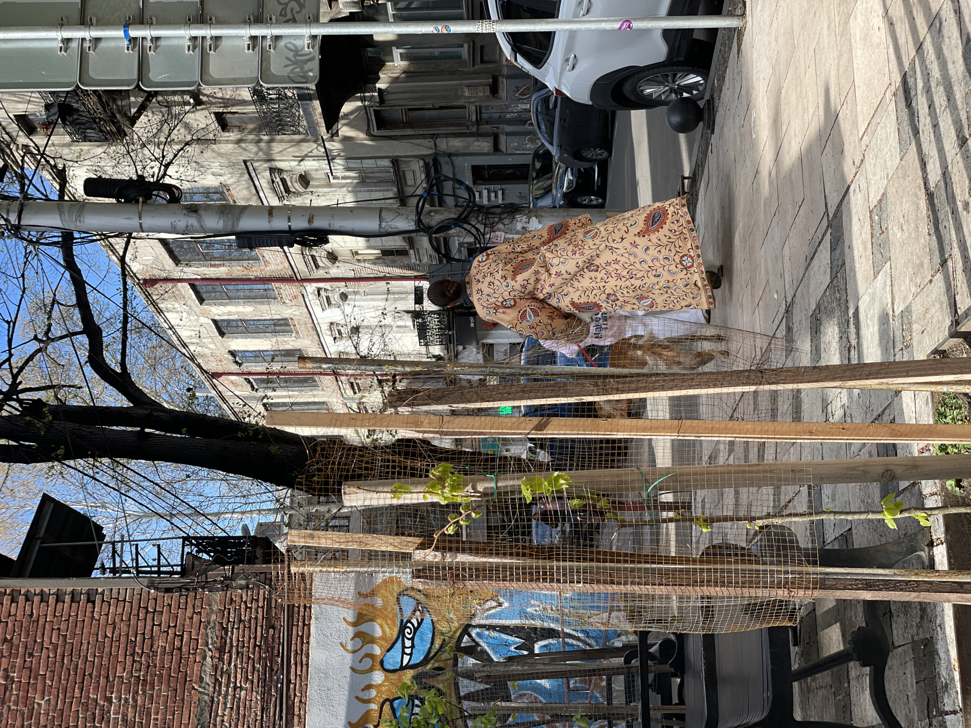 Woman examines object behind mesh barrier in Tbilisi