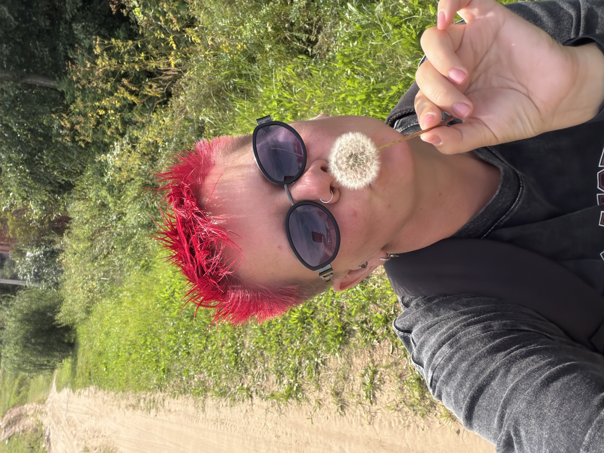Dandelion seeds caught mid-blow on a summer morning in Chaikovsky
