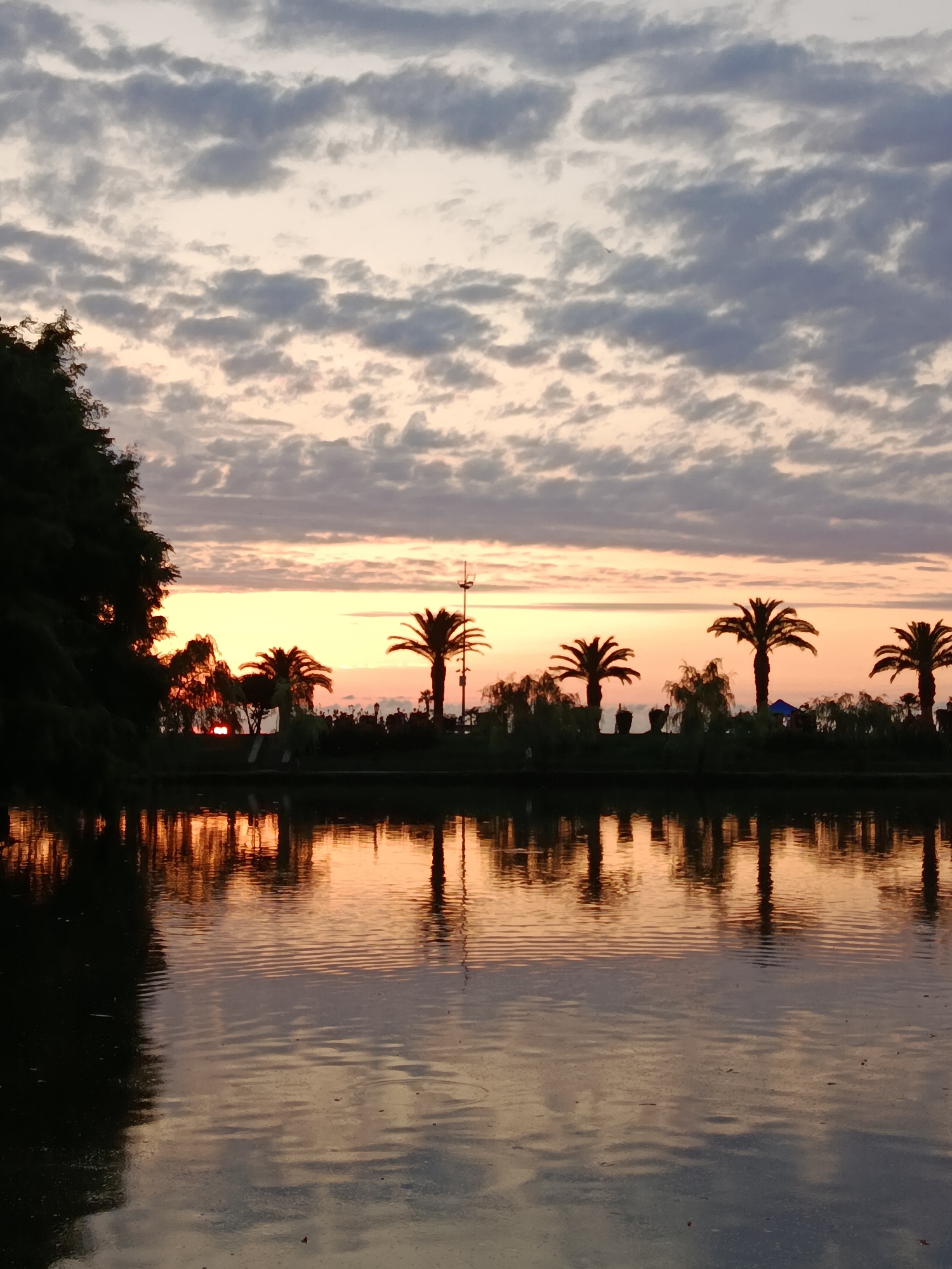 Pastel sunset reflects over still water lined with palm trees