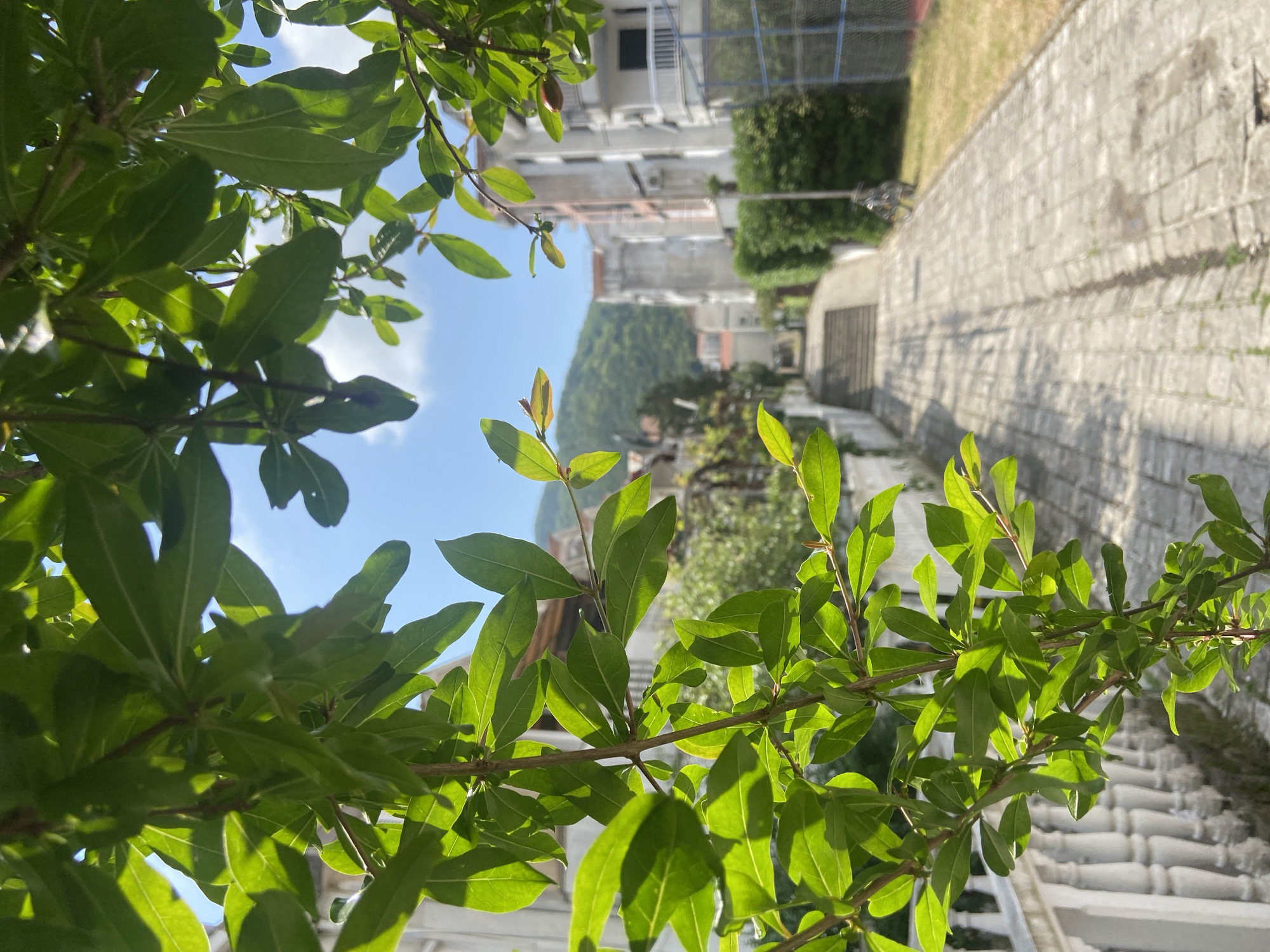 Everyday moments captured across Budva, Montenegro during afternoon hours
