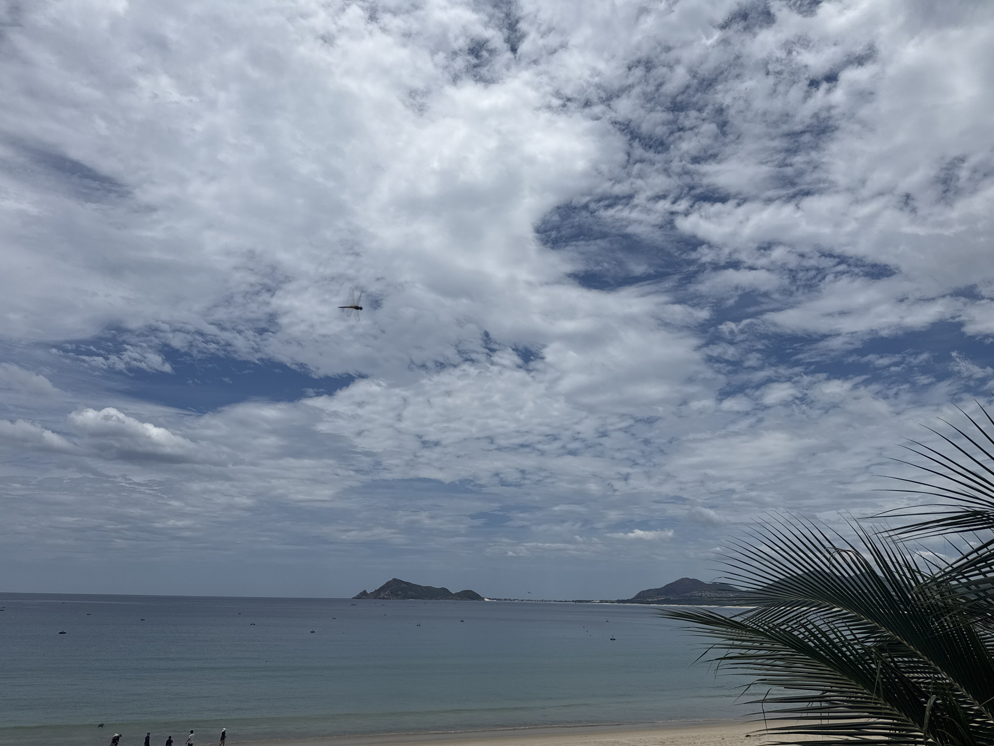 Tropical beach and island views from ground and aerial perspectives
