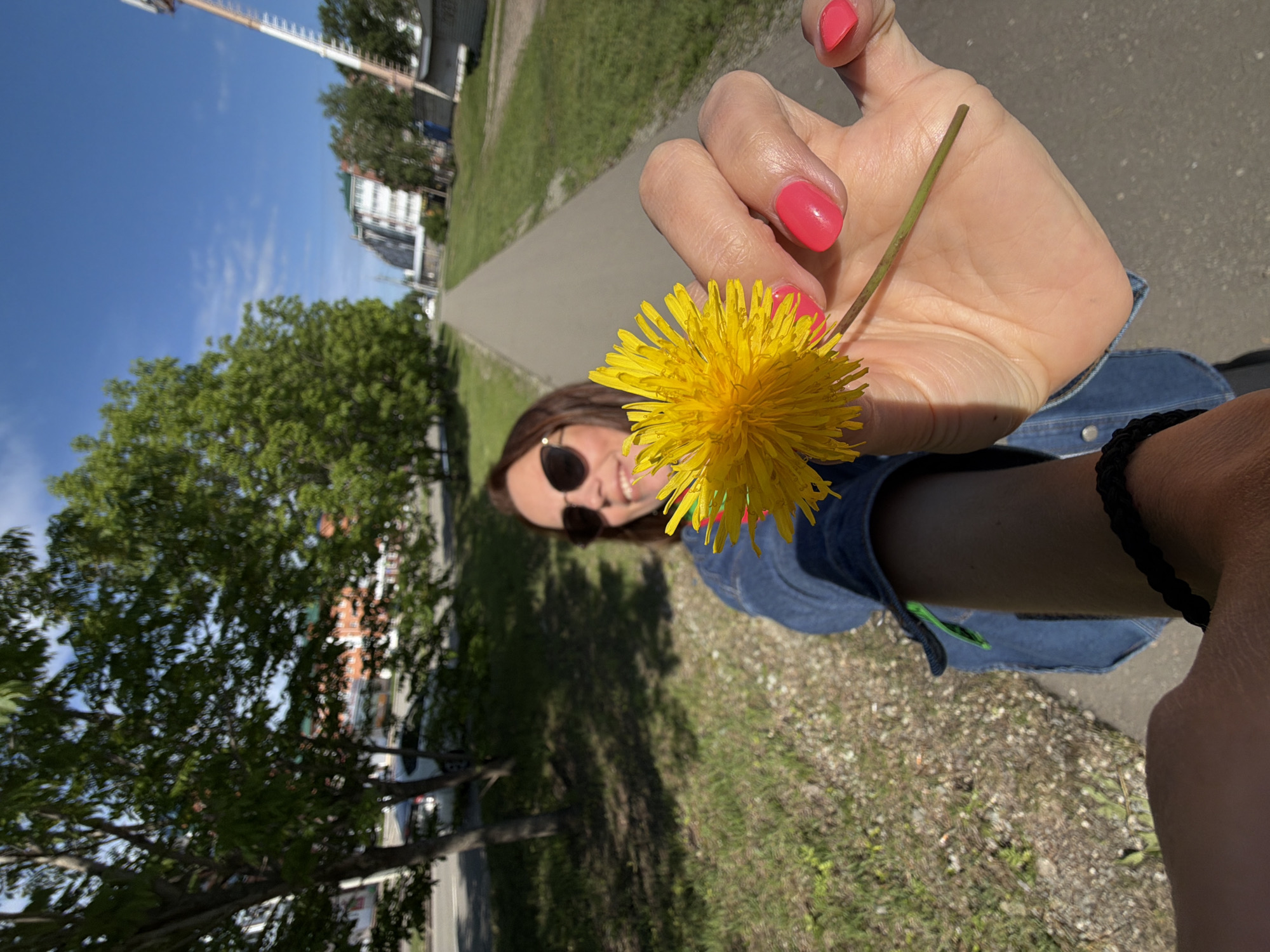 Woman enjoys dandelions during evening stroll in Birobidzhan