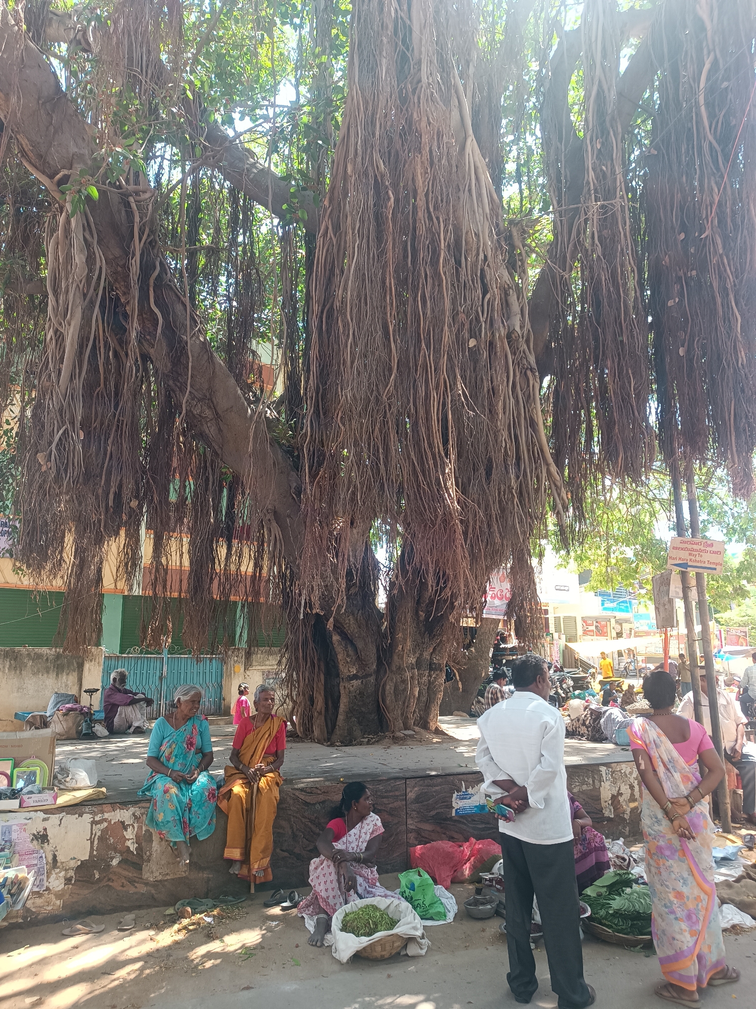 Rural life documented across Andhra Pradesh villages
