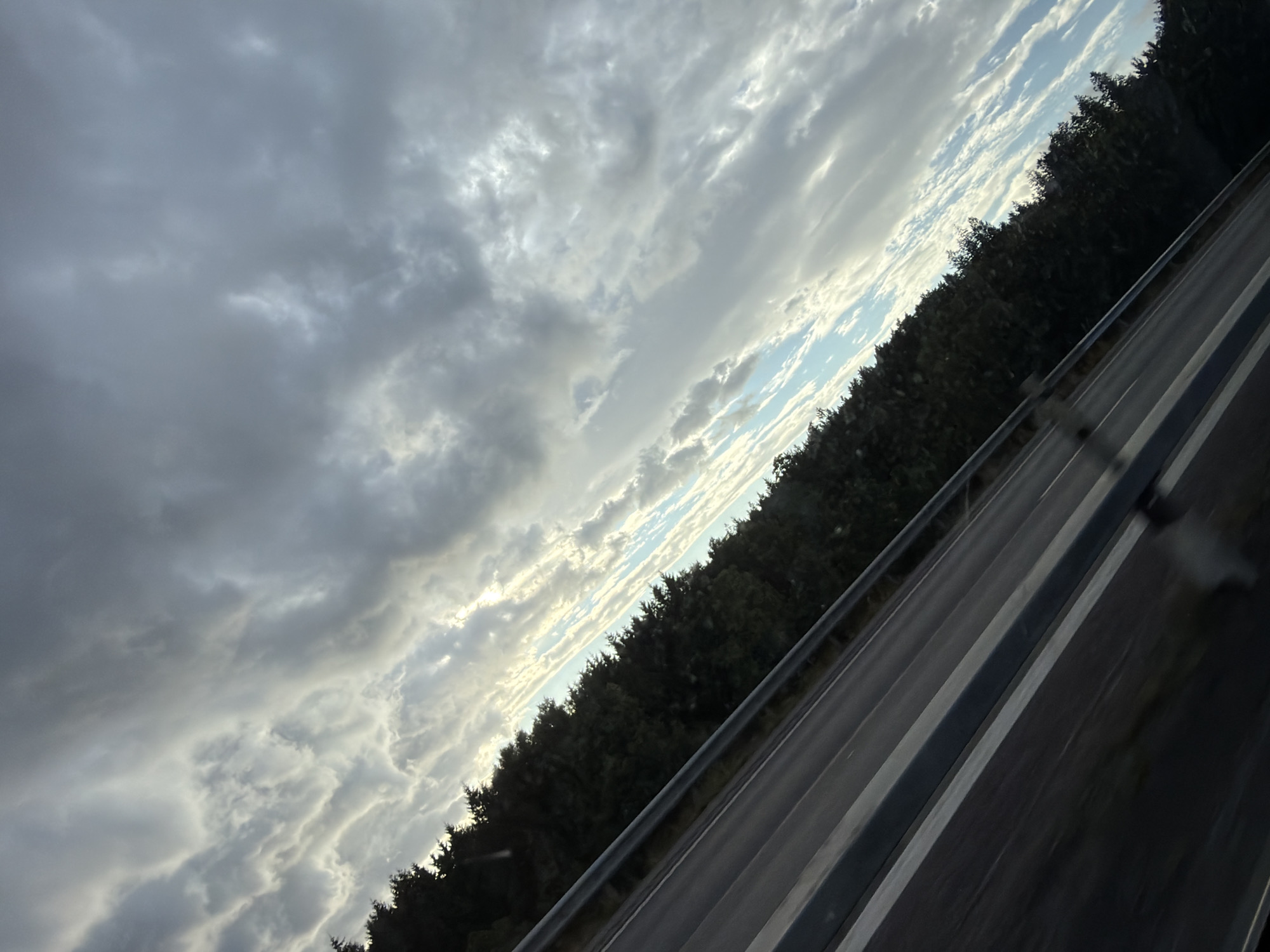 Rolling through Löftaskog under a cloudy summer sky
