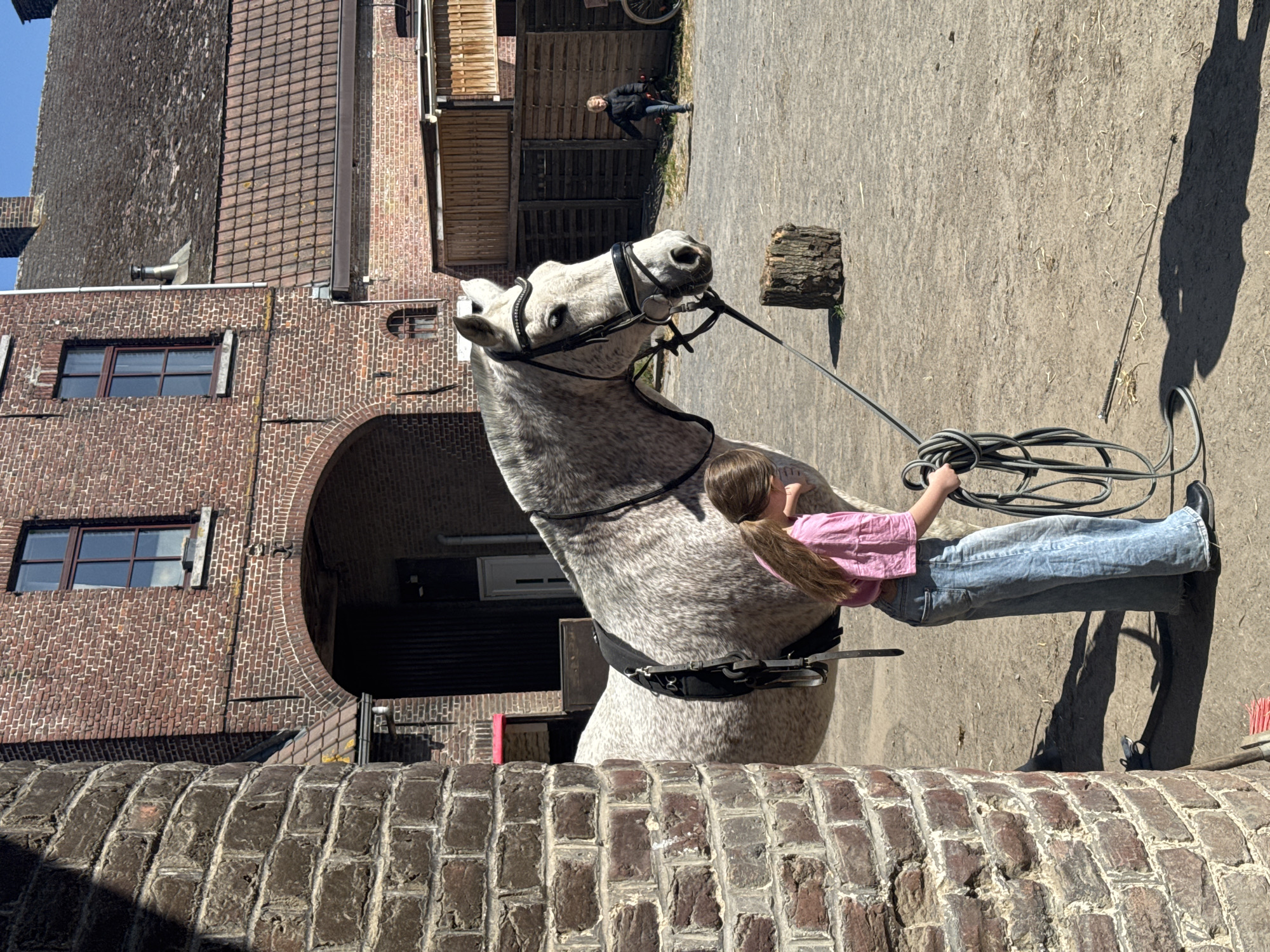 Girl with white horse at Belgian equestrian facility