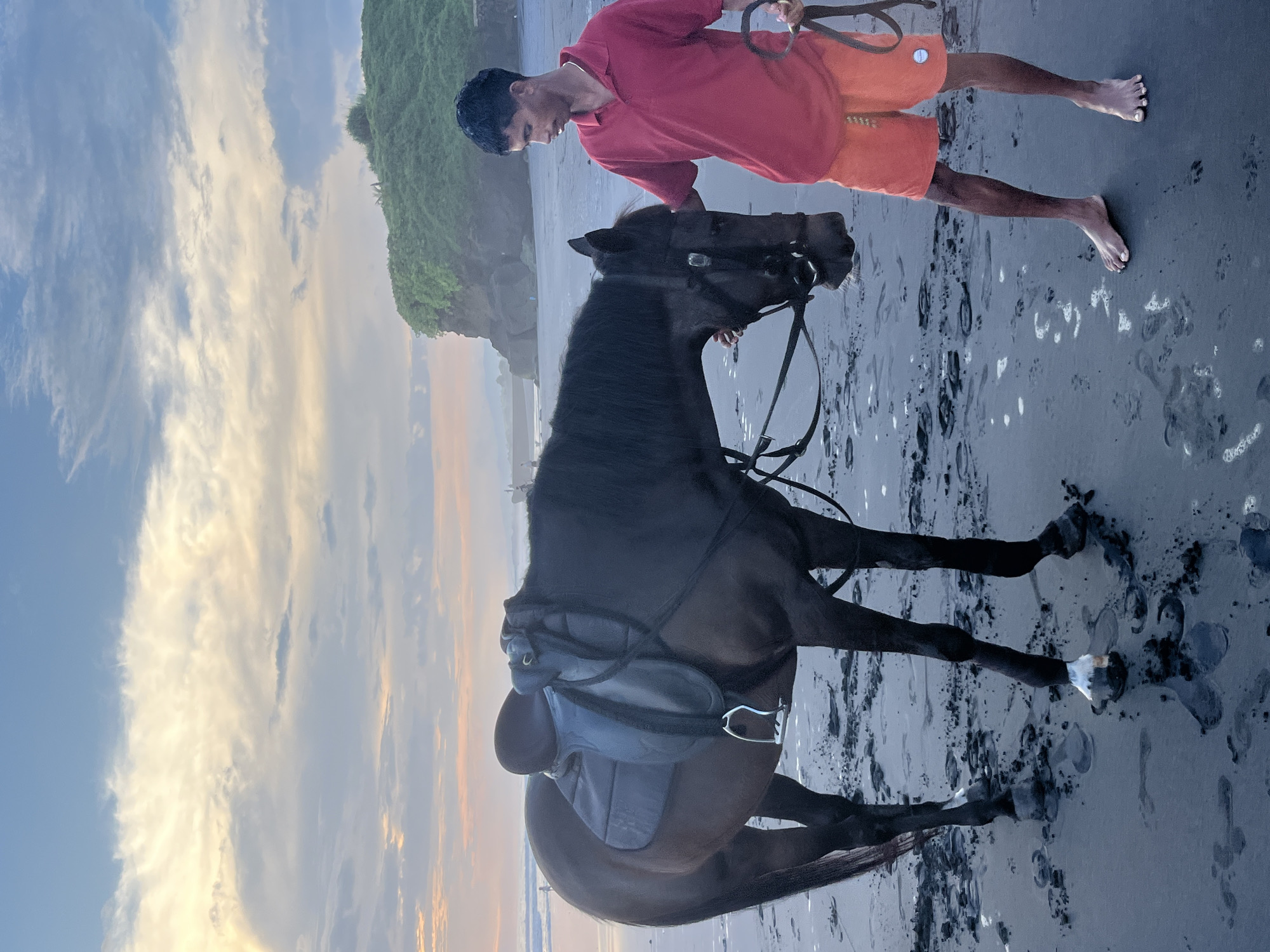 Man with horse spotted on wet beach in Kediri