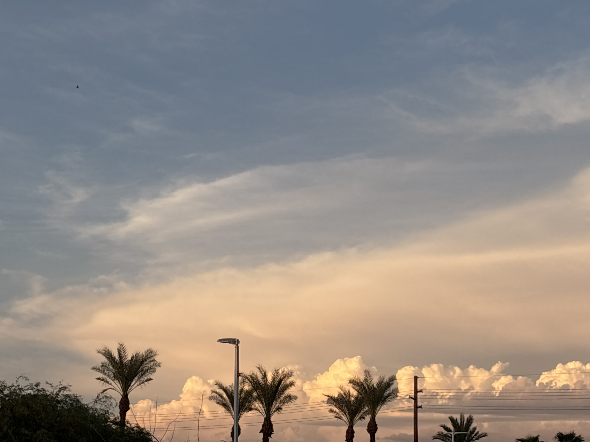 Sunset skies and grocery store balloons in Phoenix