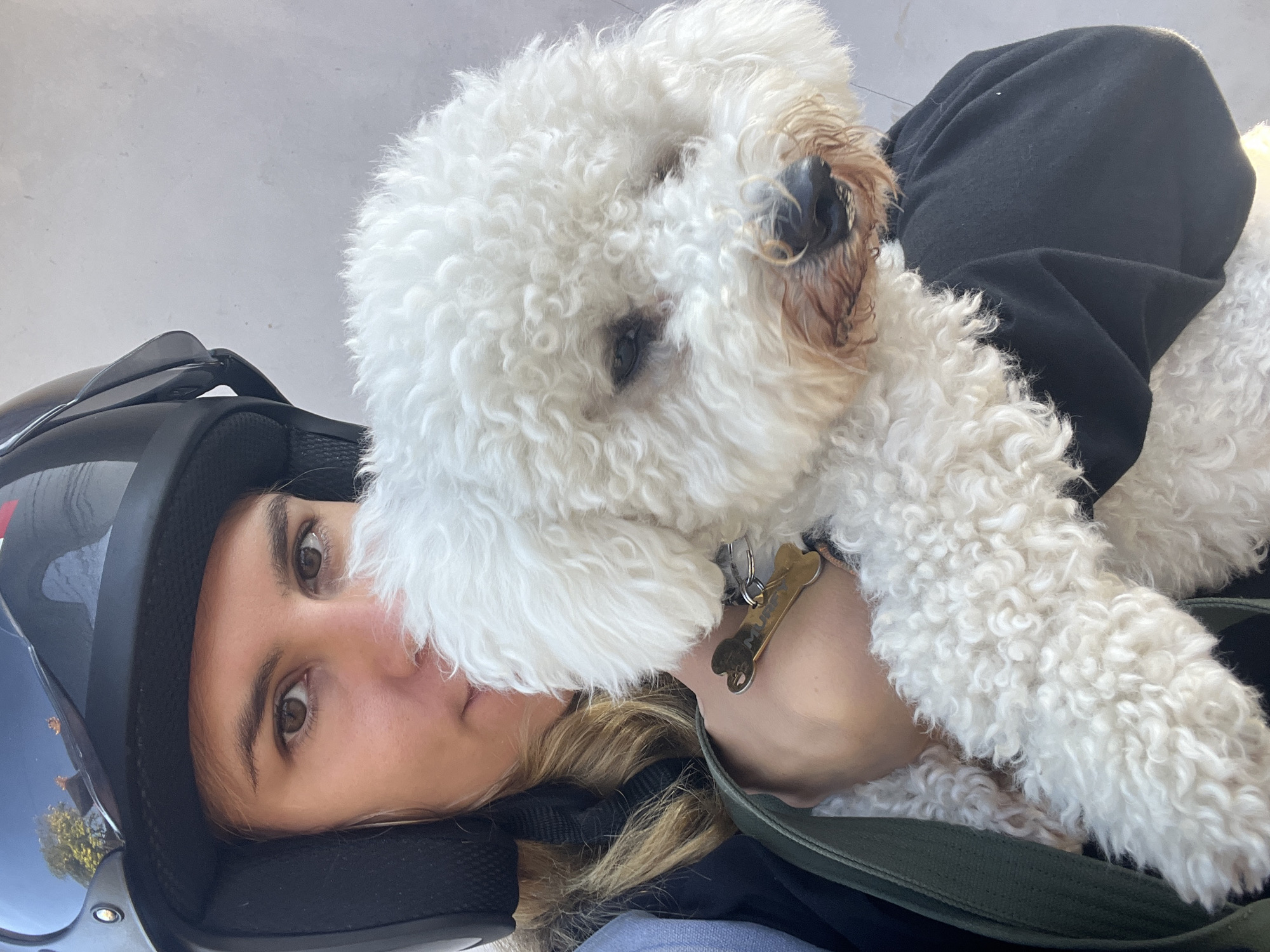 Helmet on, fluffy dog in arms — a quick stop in Kediri