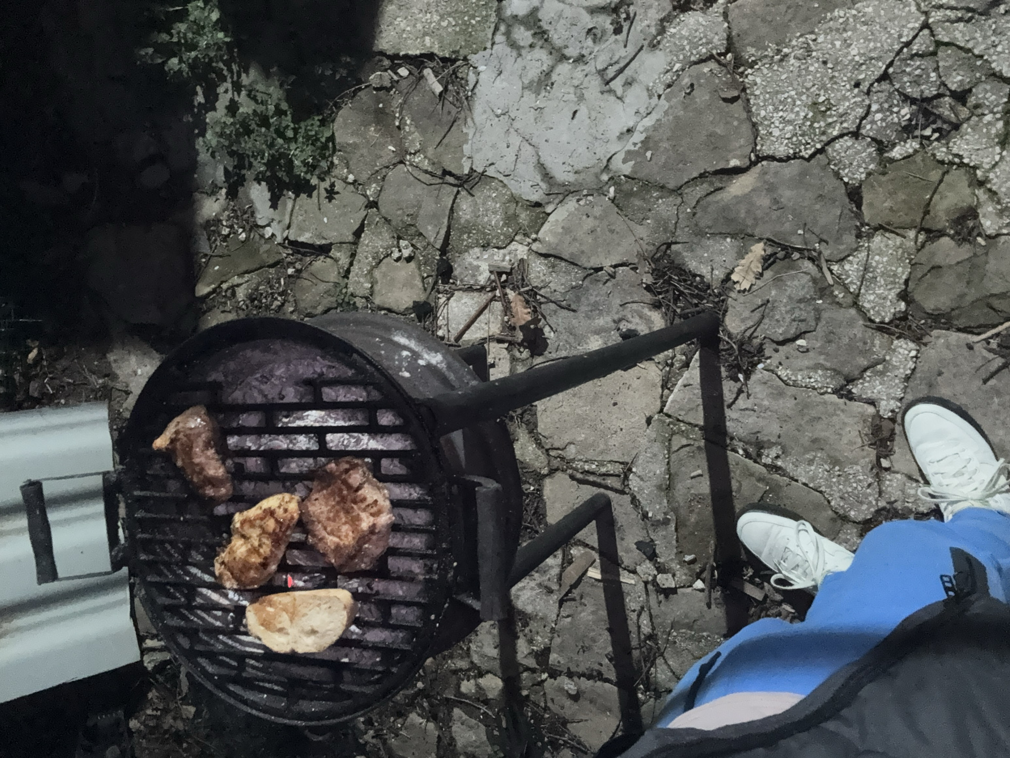 Evening backyard barbecue with pets in Bulgarian villages